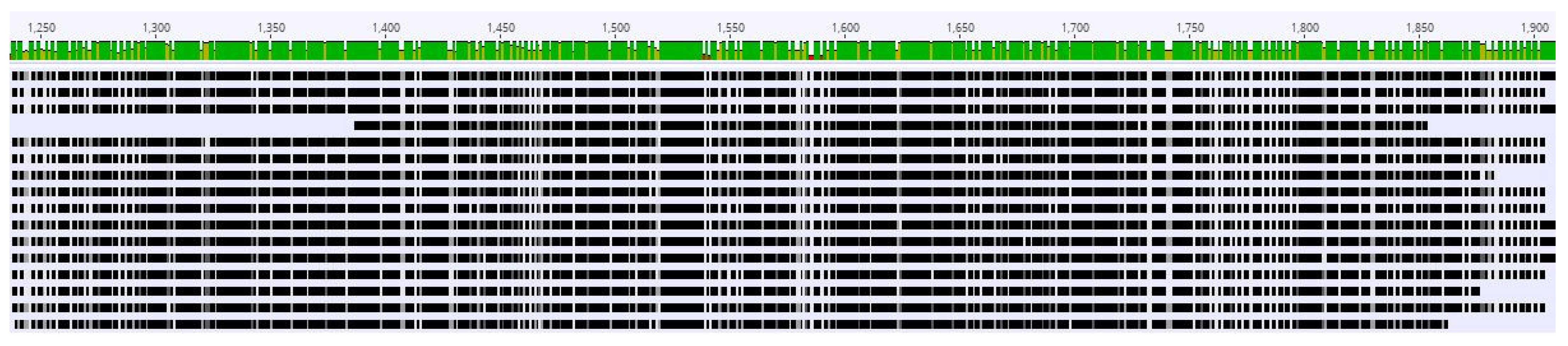 Agronomy 11 01842 g002