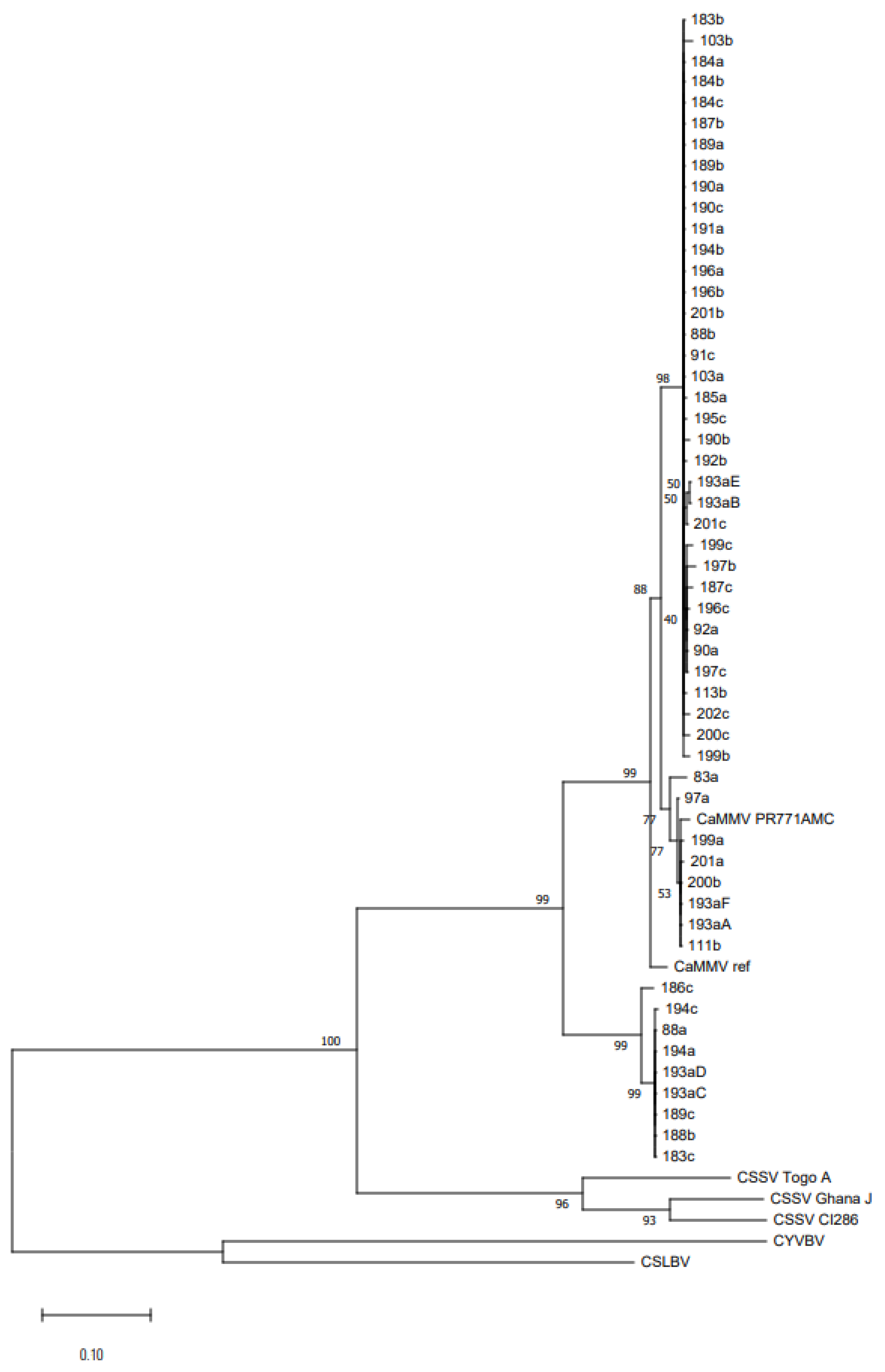 Agronomy 11 01842 g004