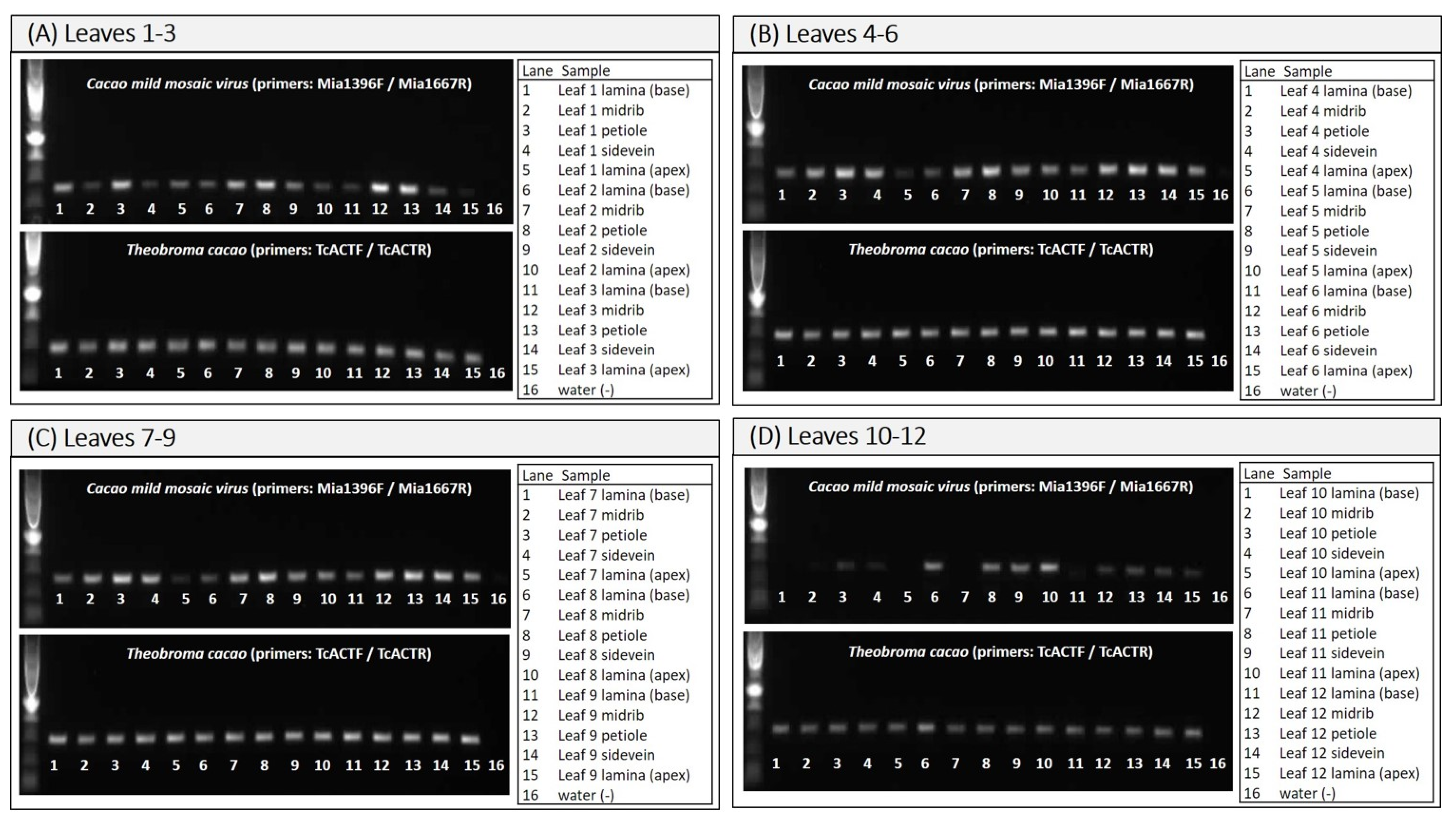 Agronomy 11 01842 g005
