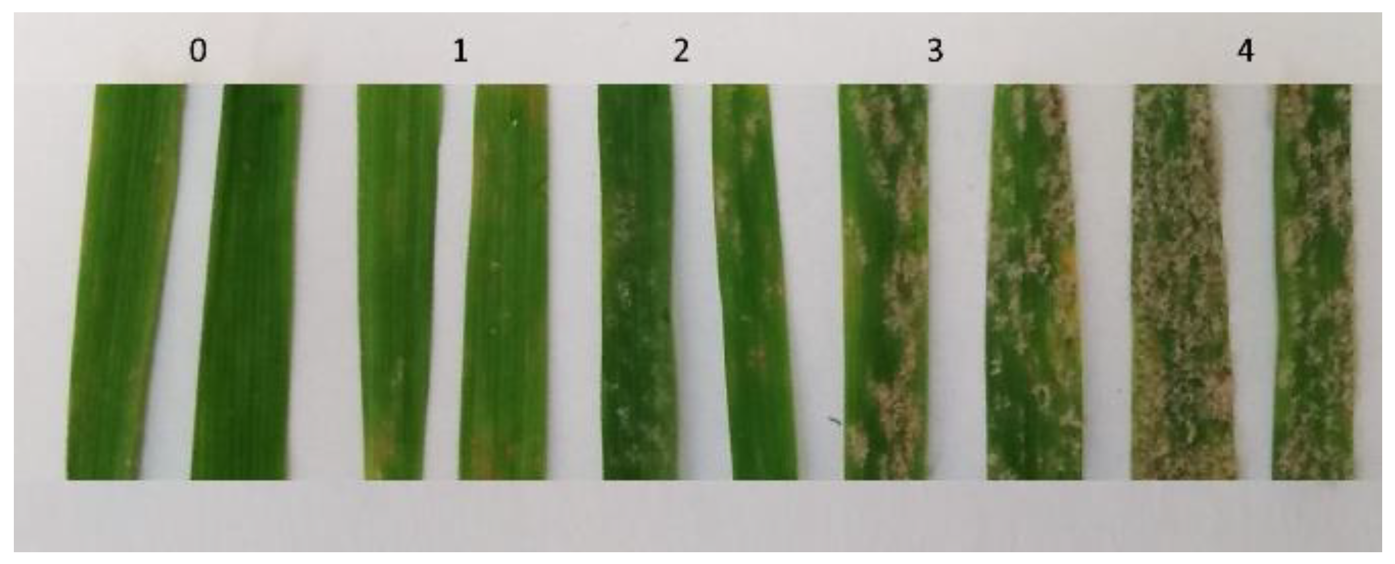 Agronomy 11 01852 g002