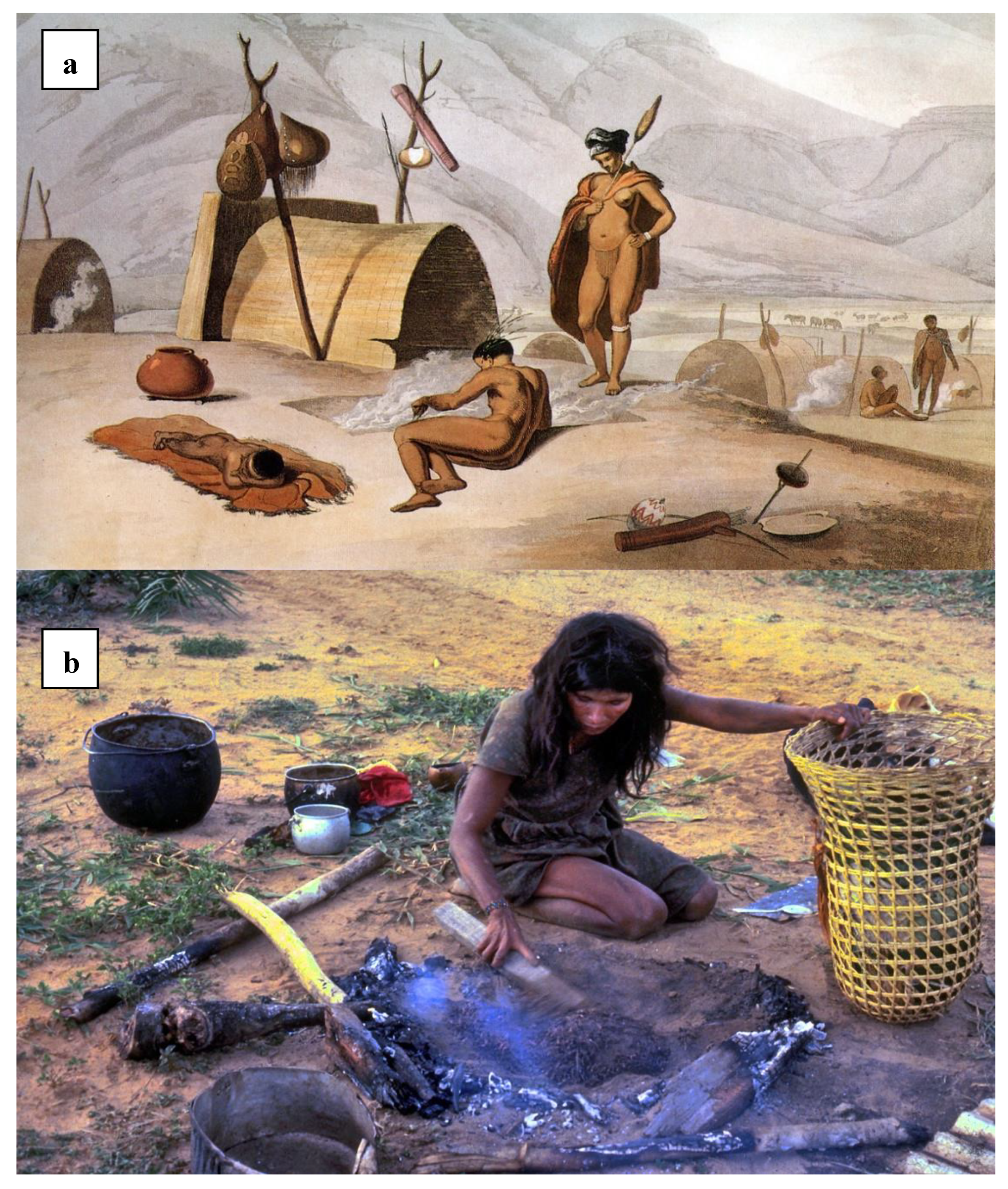 Agronomy 11 01856 g003