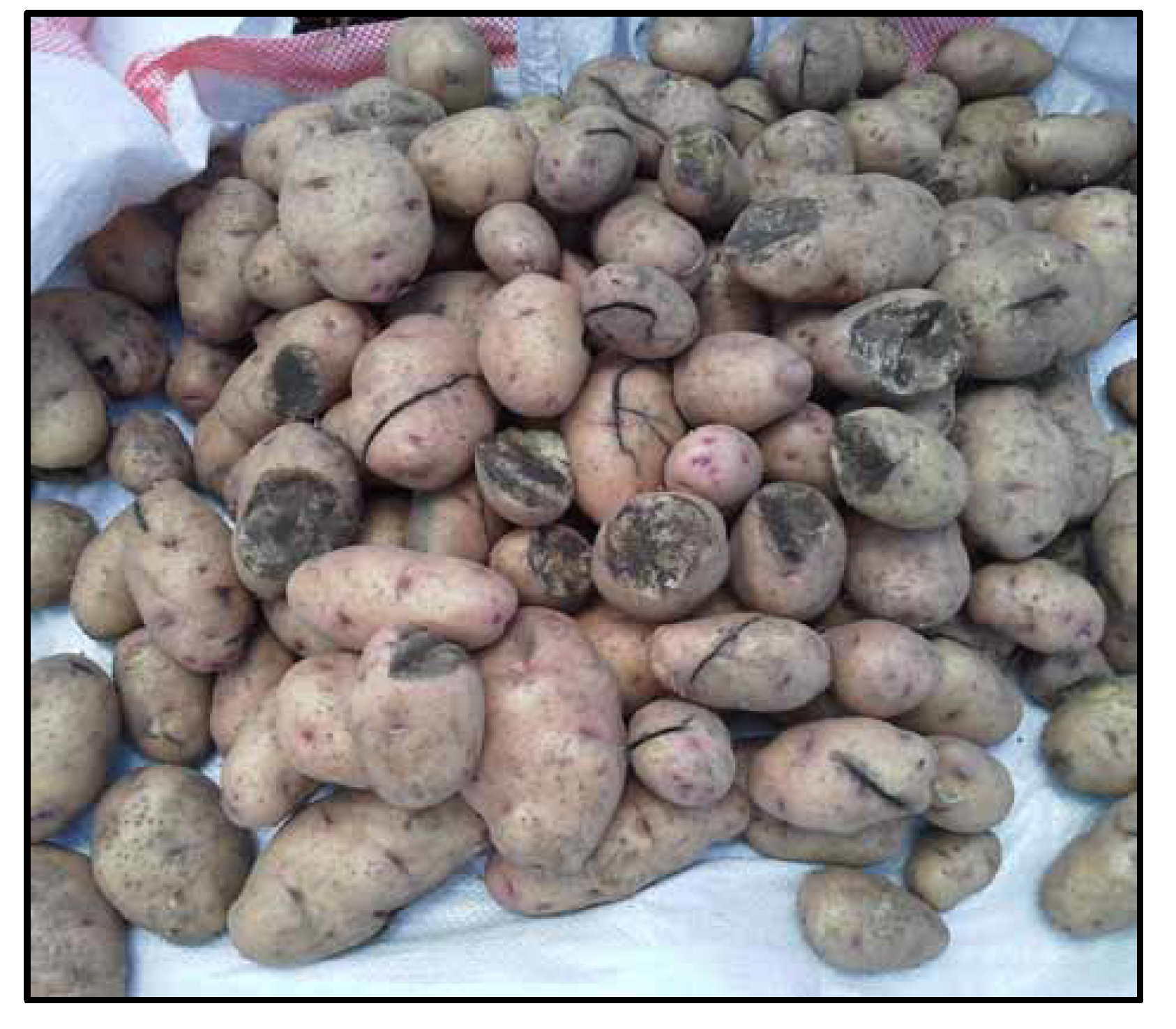 Agronomy 11 01857 g0a1