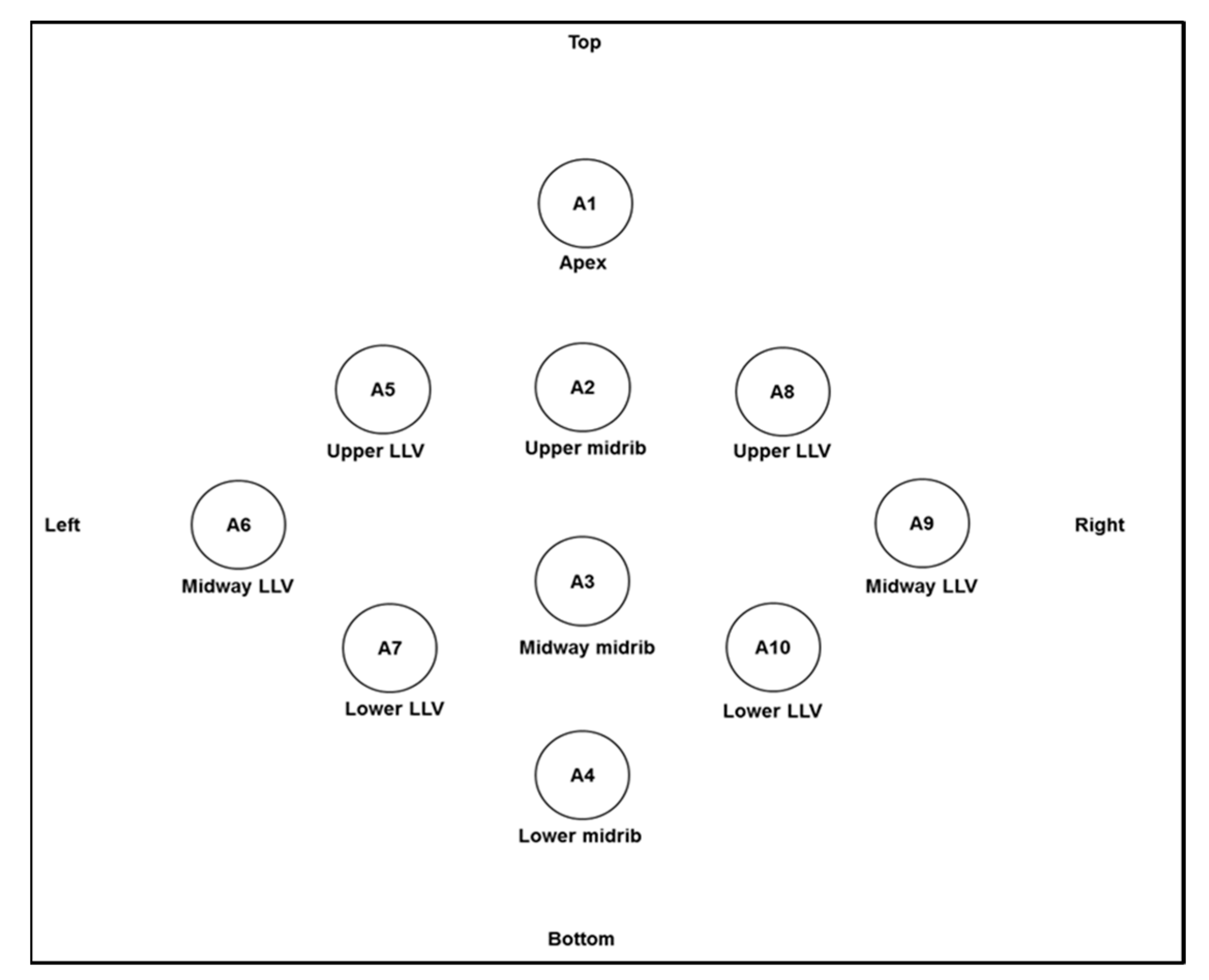 Agronomy 11 01868 g001