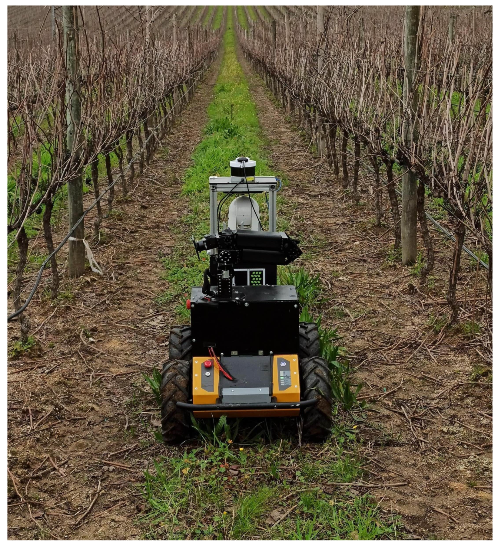 Agronomy 11 01890 g001