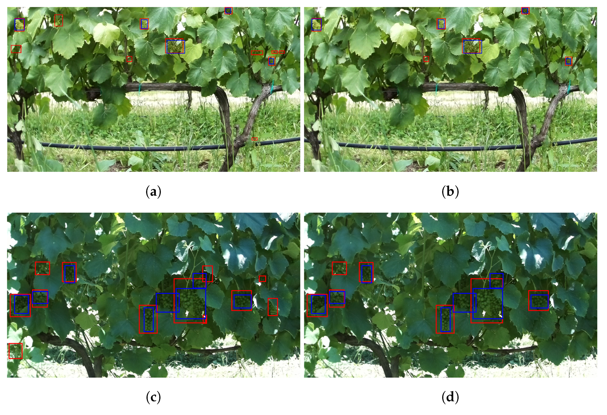 Agronomy 11 01890 g009