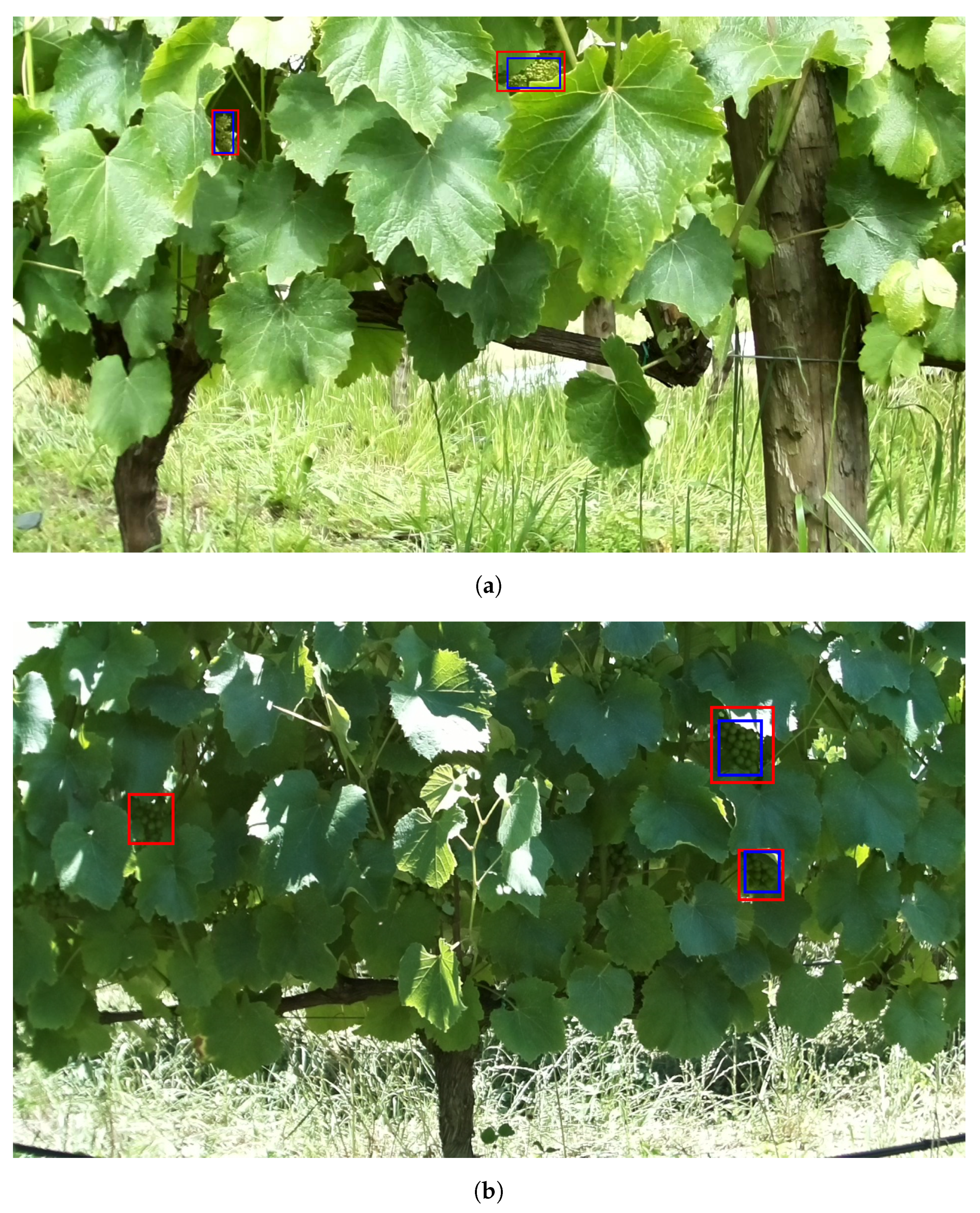 Agronomy 11 01890 g010