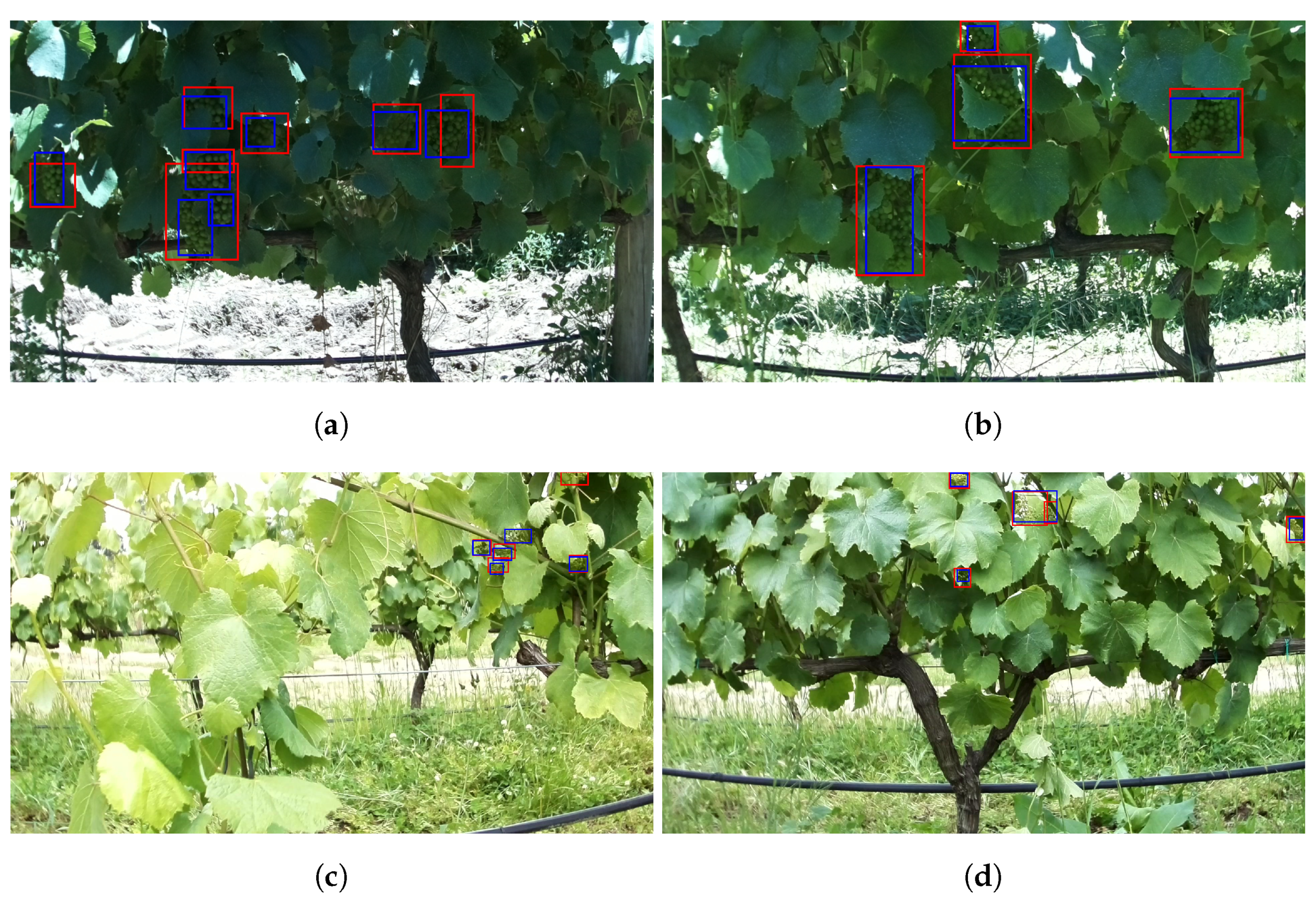Agronomy 11 01890 g011