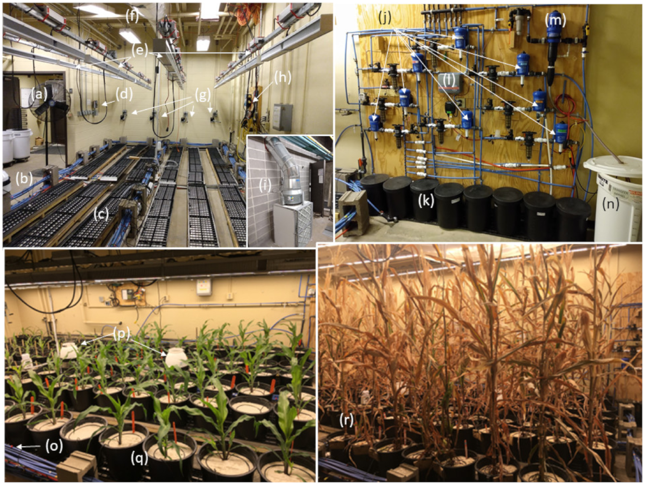 Agronomy 11 01898 g001