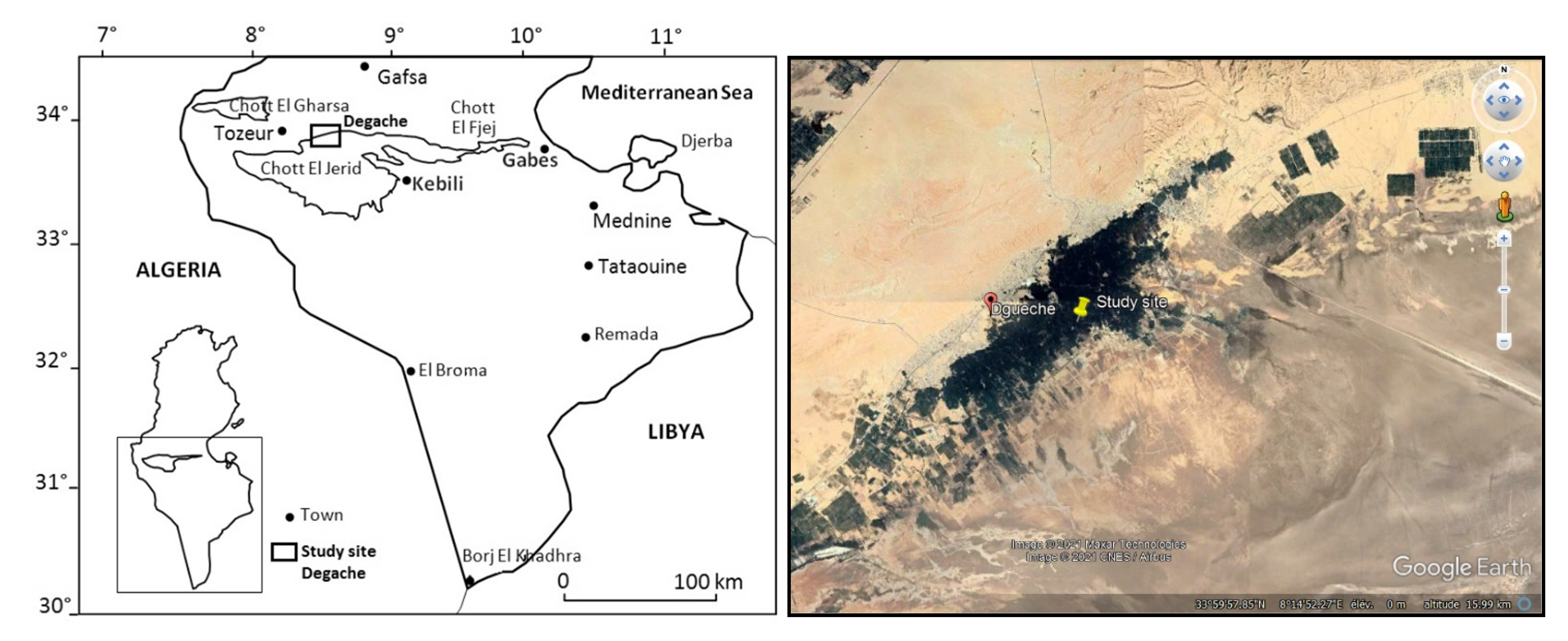 Agronomy 11 01903 g001