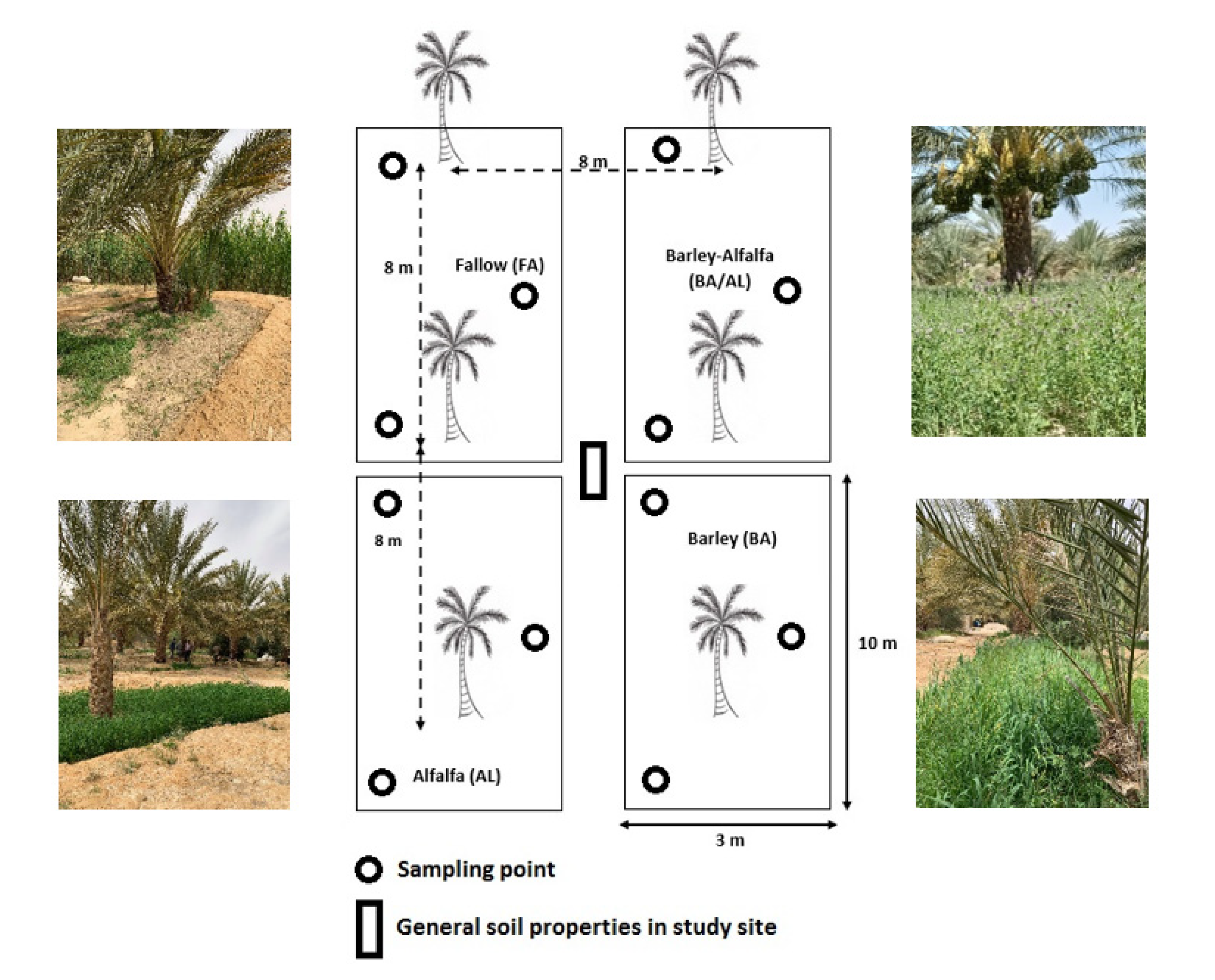 Agronomy 11 01903 g002