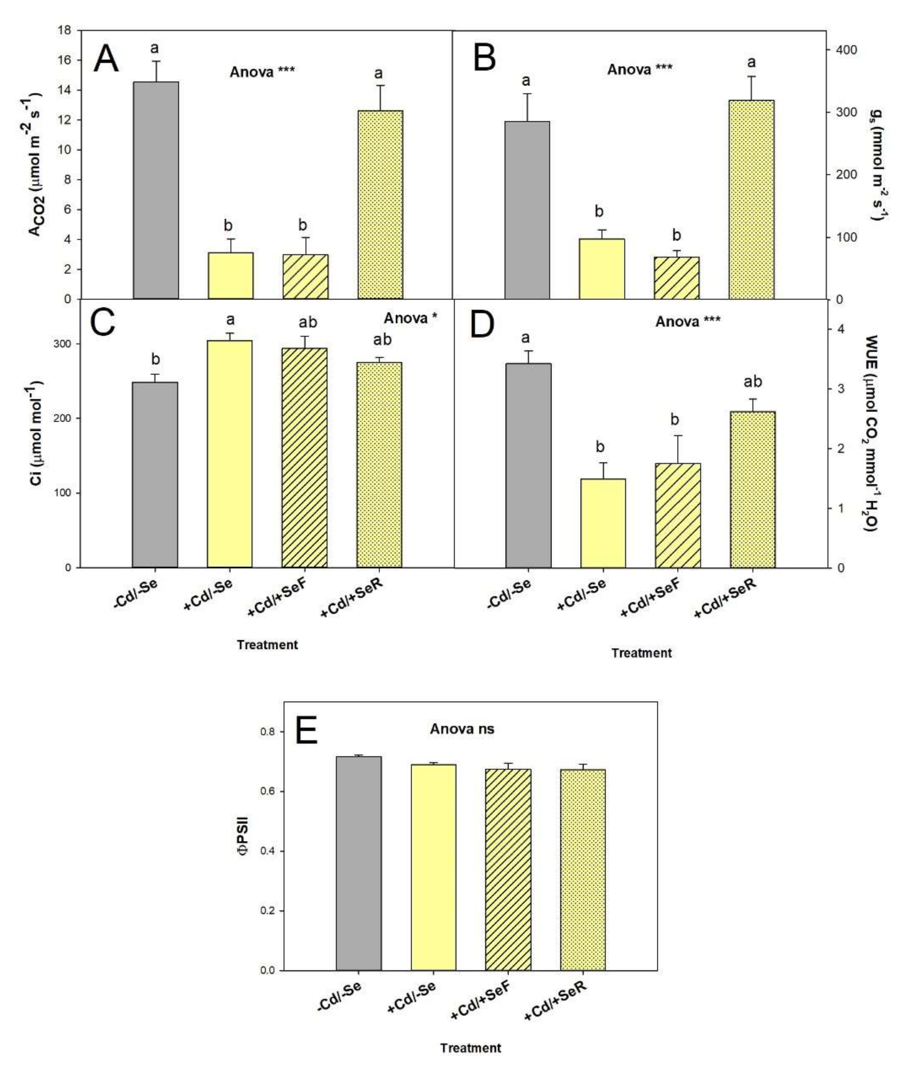Agronomy 11 01905 g003