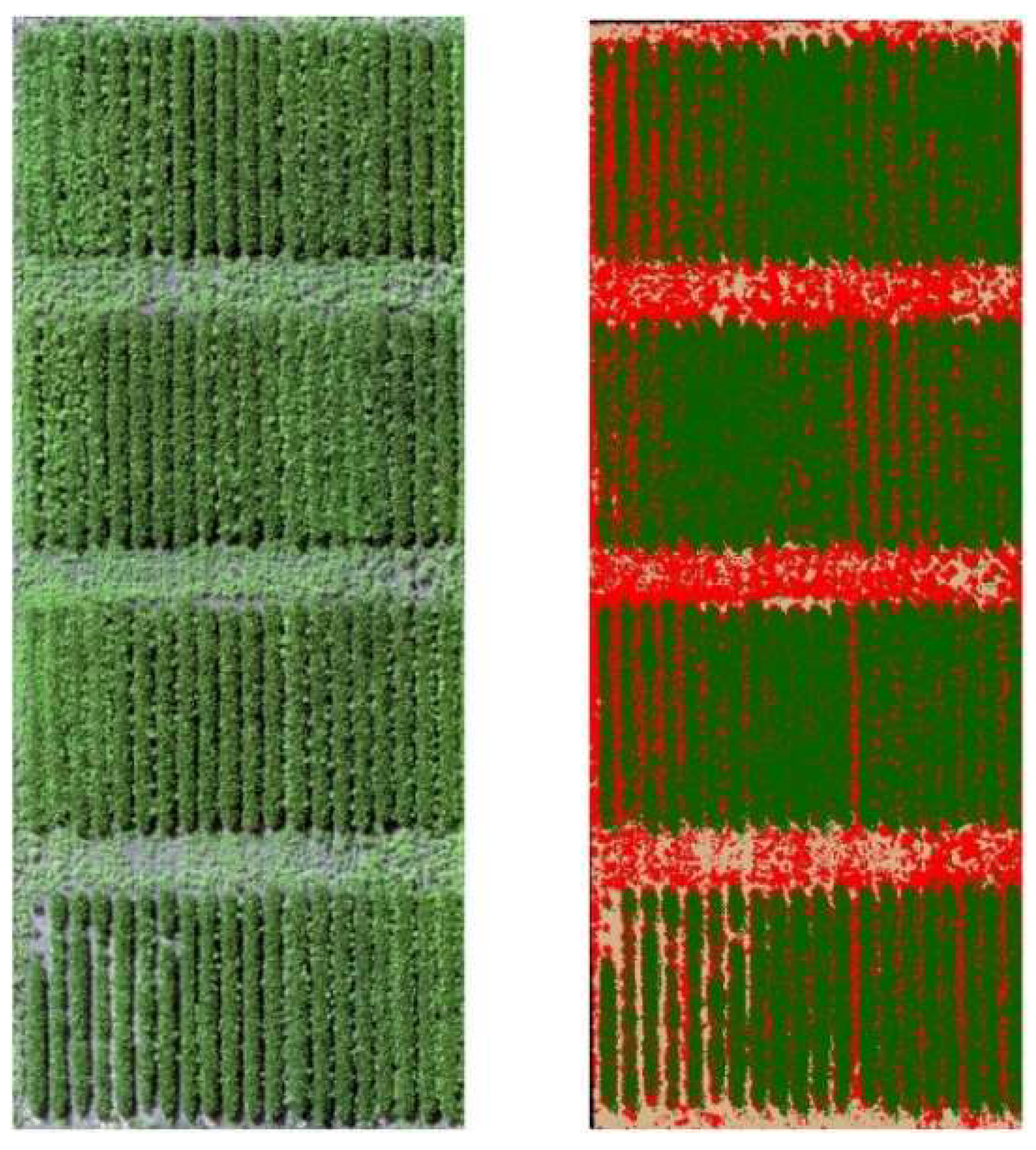 Agronomy 11 01909 g001