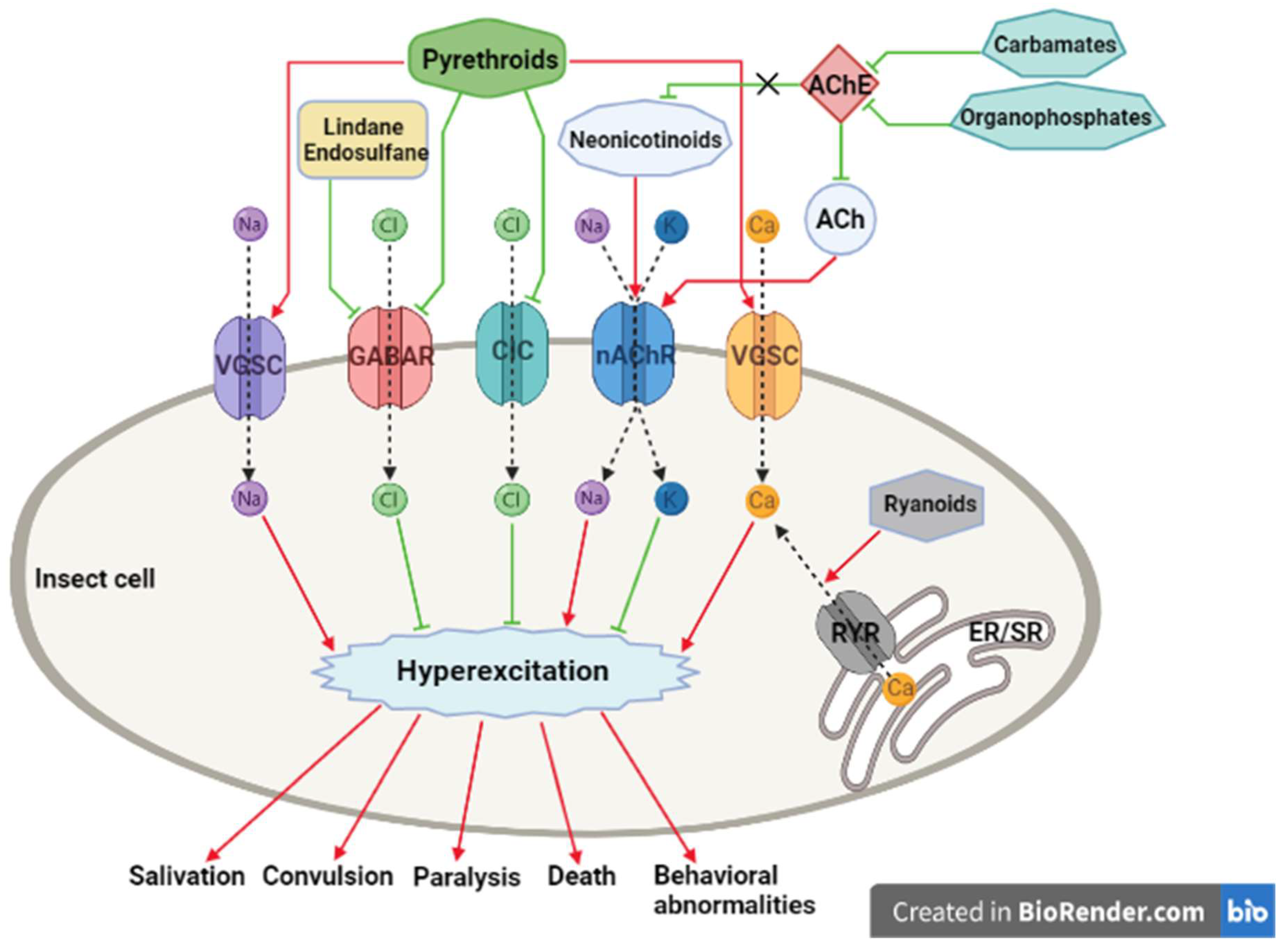Agronomy 11 01920 g001