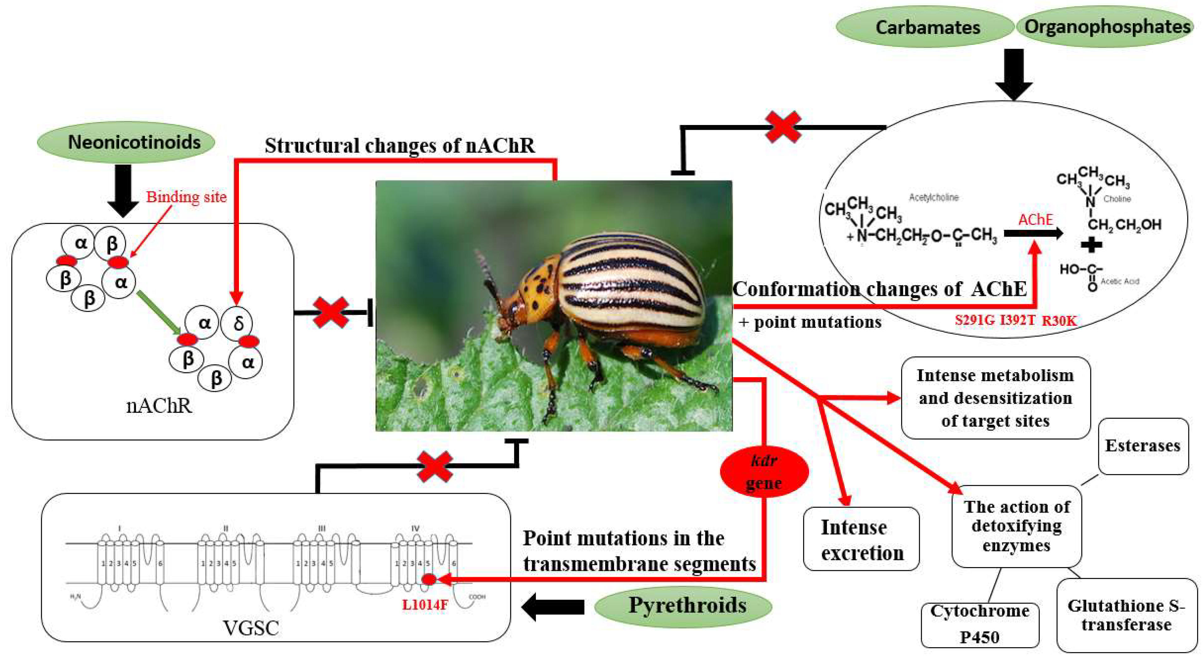 Agronomy 11 01920 g003