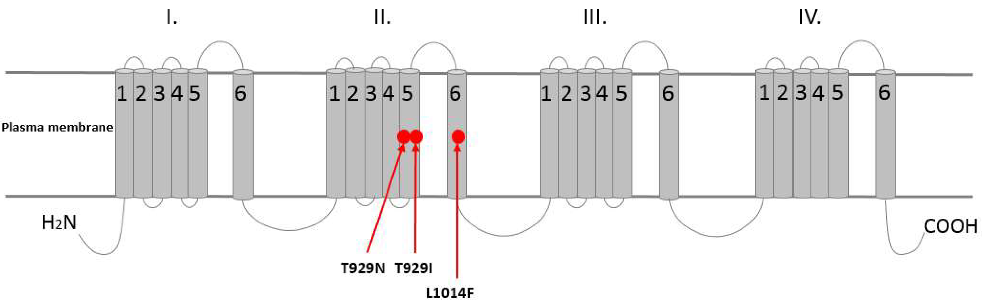 Agronomy 11 01920 g004