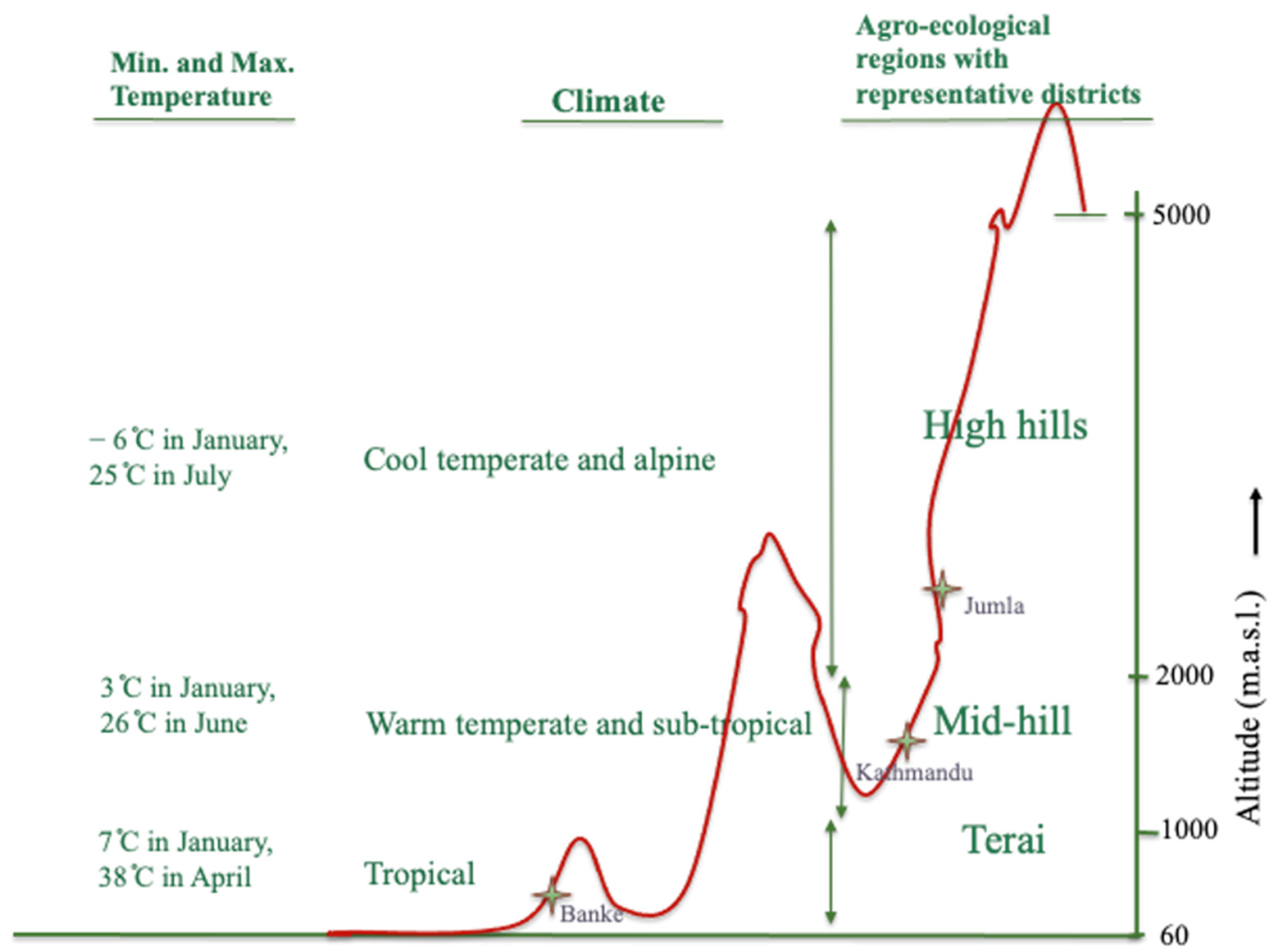 Agronomy 11 01933 g004