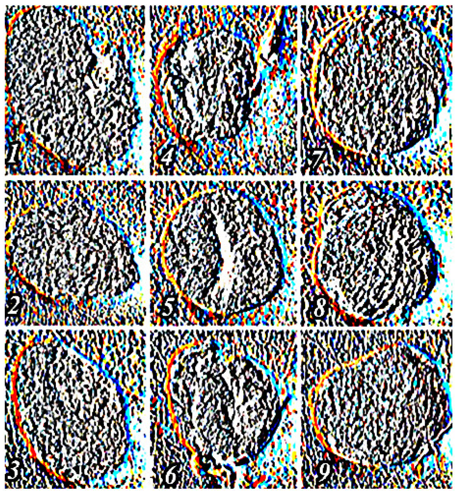 Agronomy 11 01980 g005