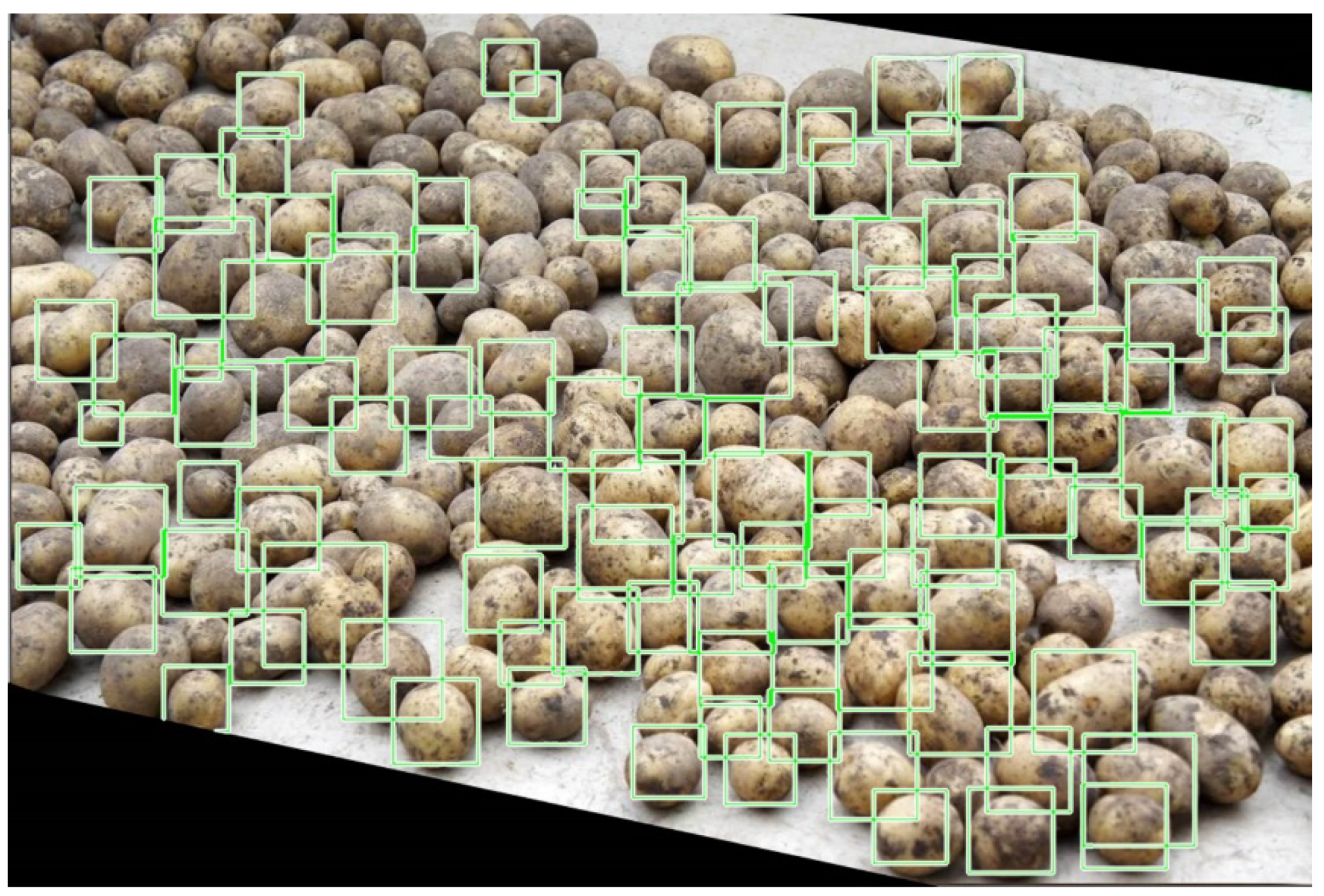 Agronomy 11 01980 g008