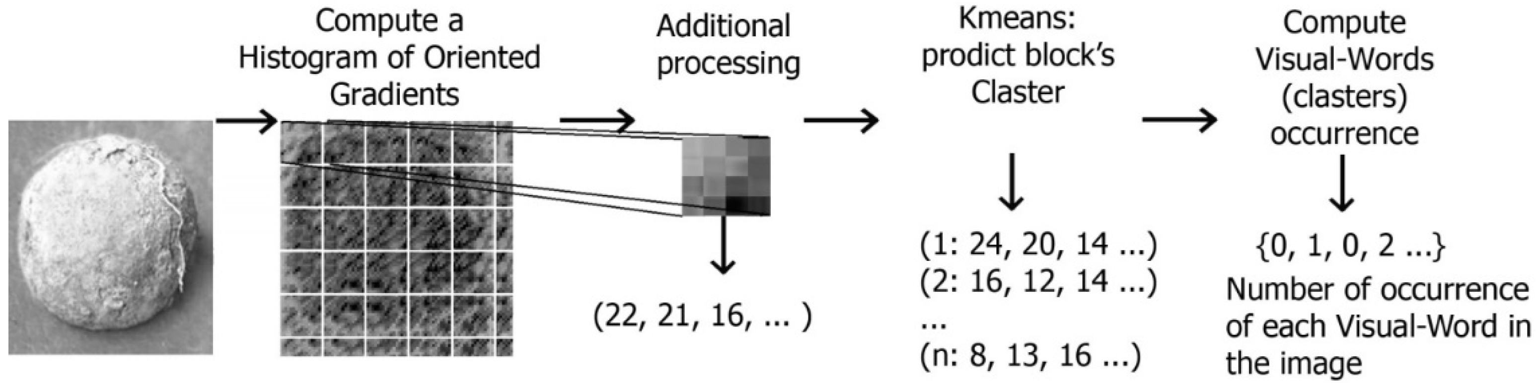 Agronomy 11 01980 g010
