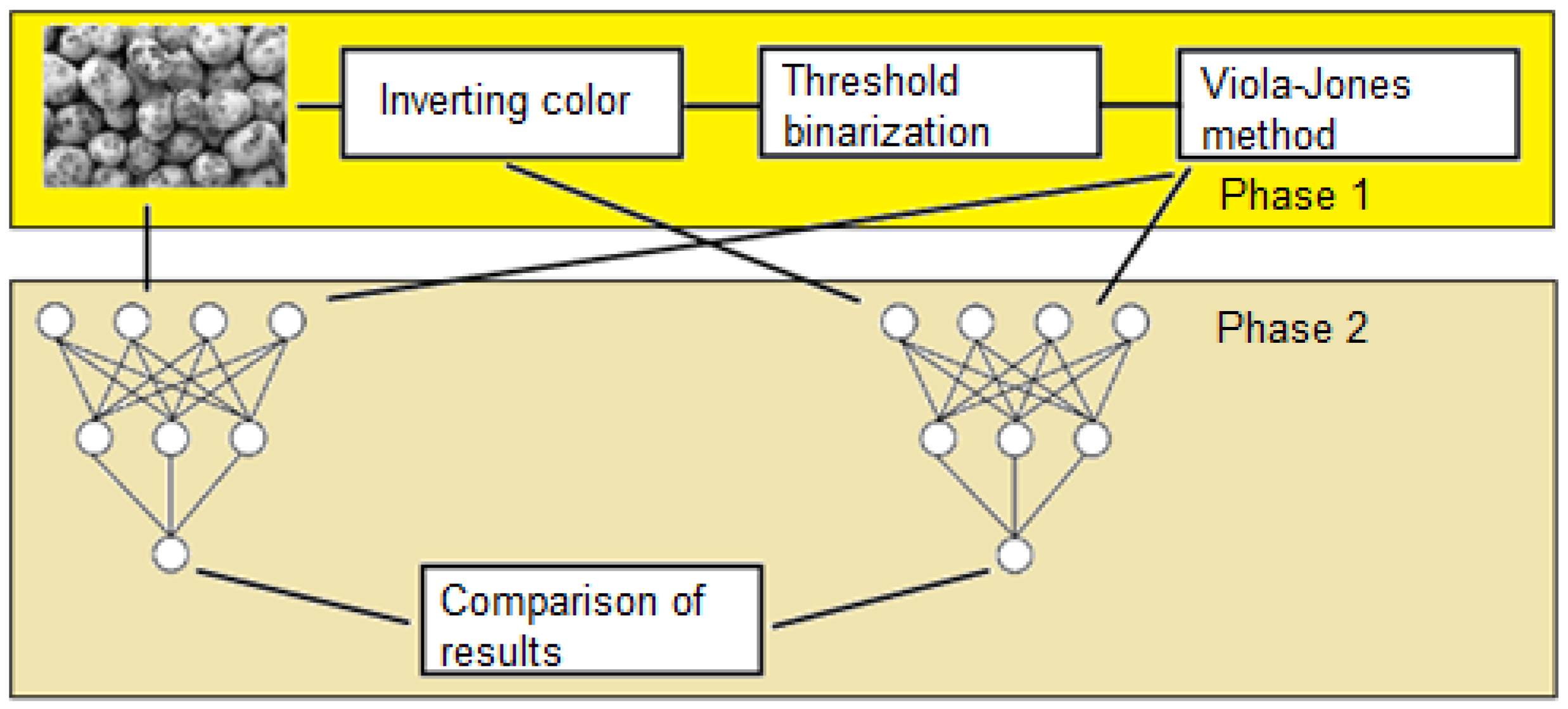 Agronomy 11 01980 g011