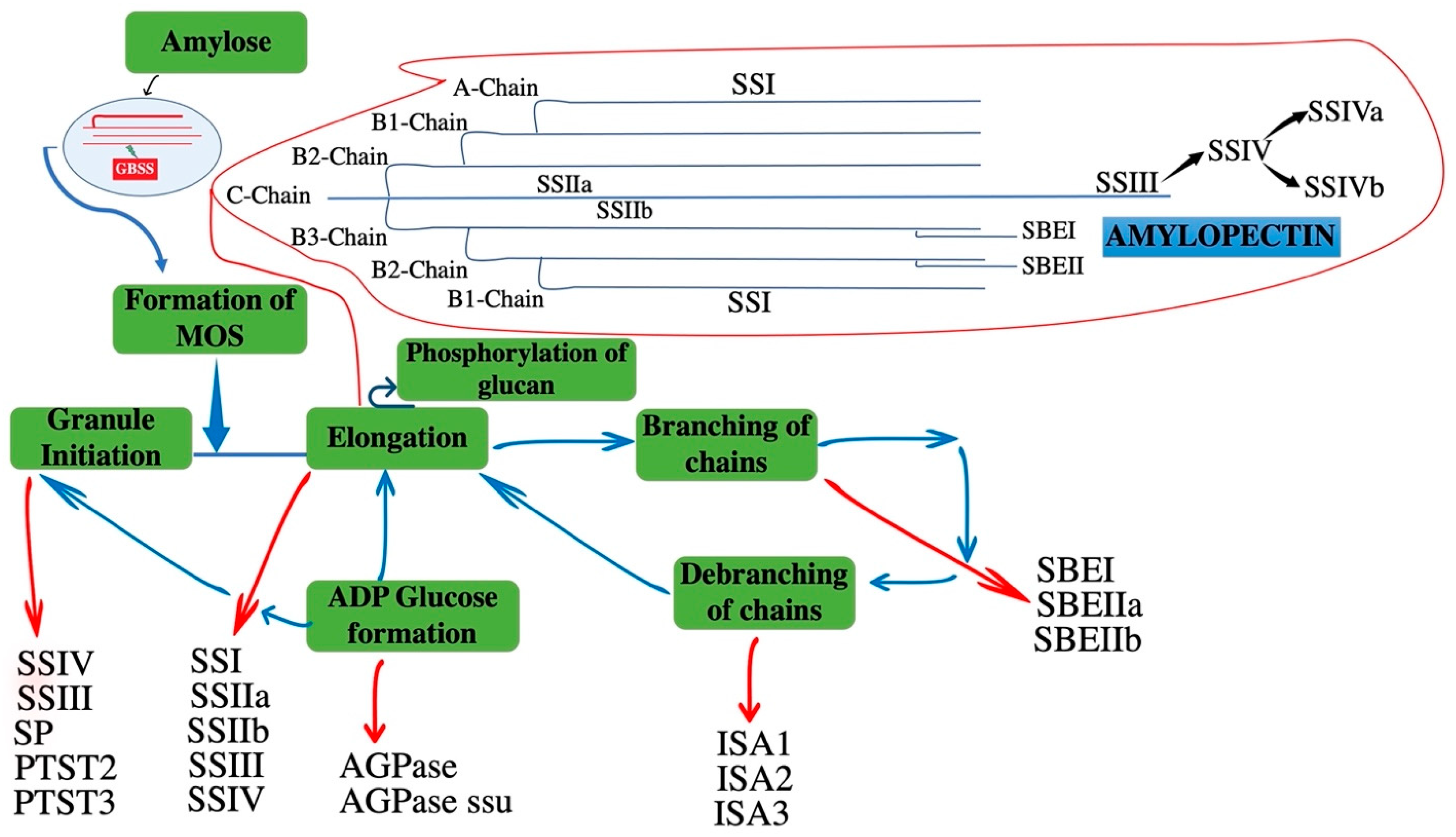 Agronomy 11 01983 g001