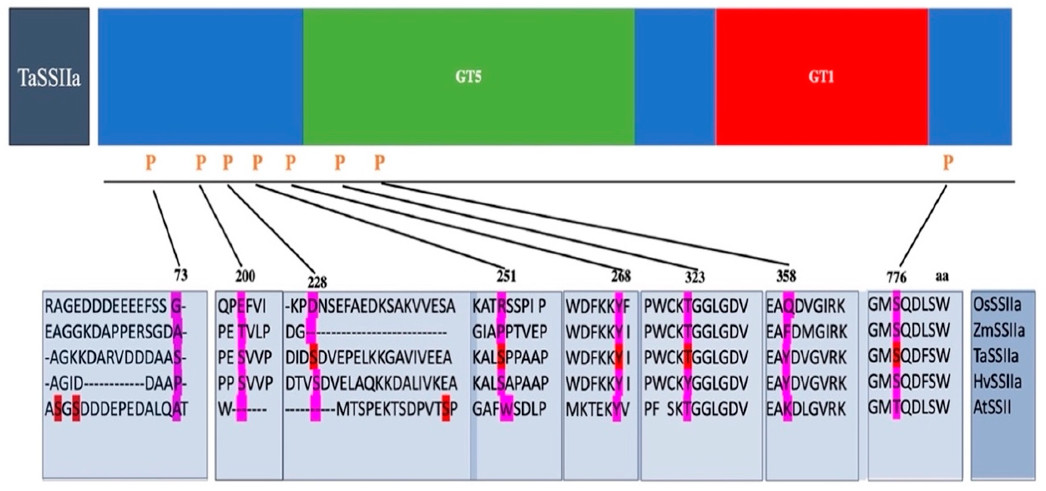 Agronomy 11 01983 g005