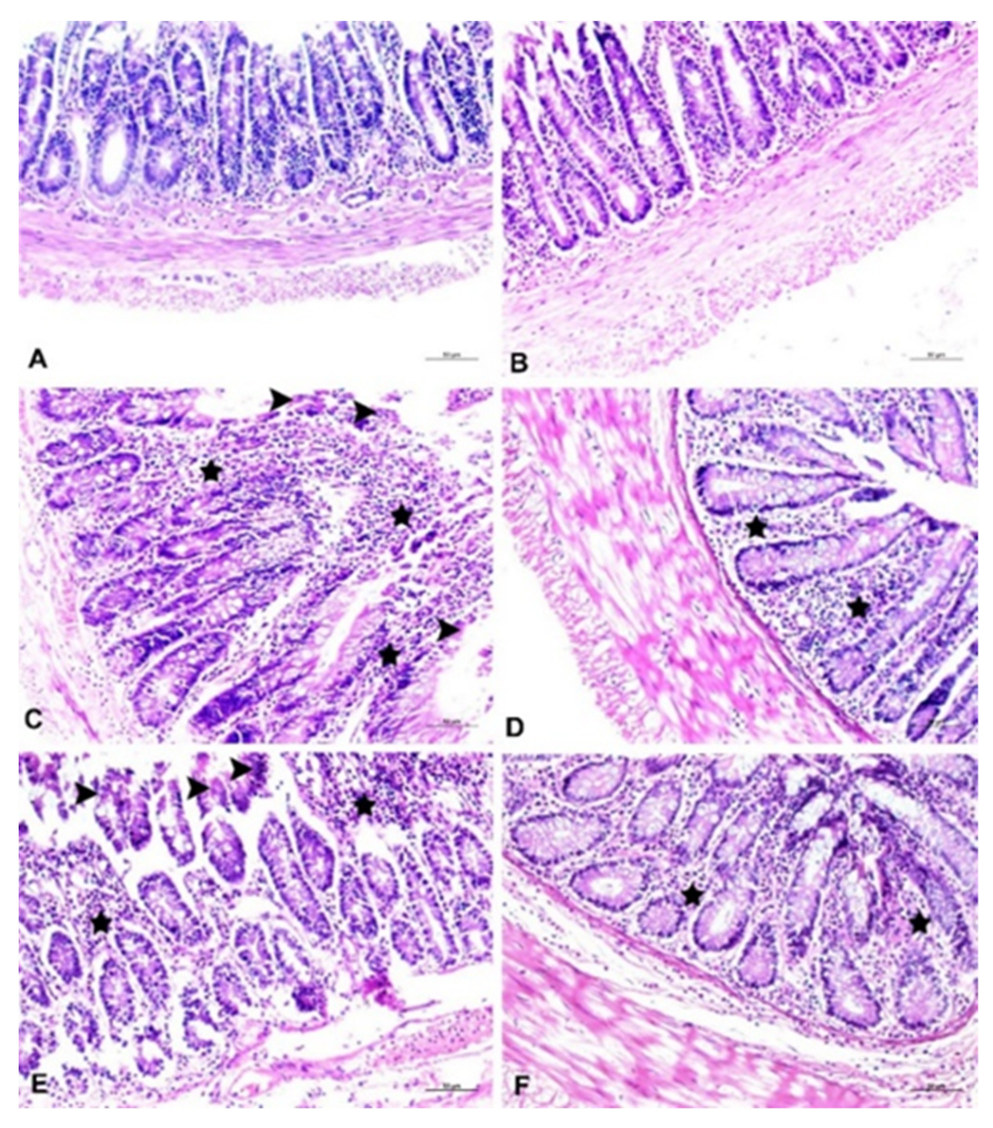 Agronomy 11 02003 g006