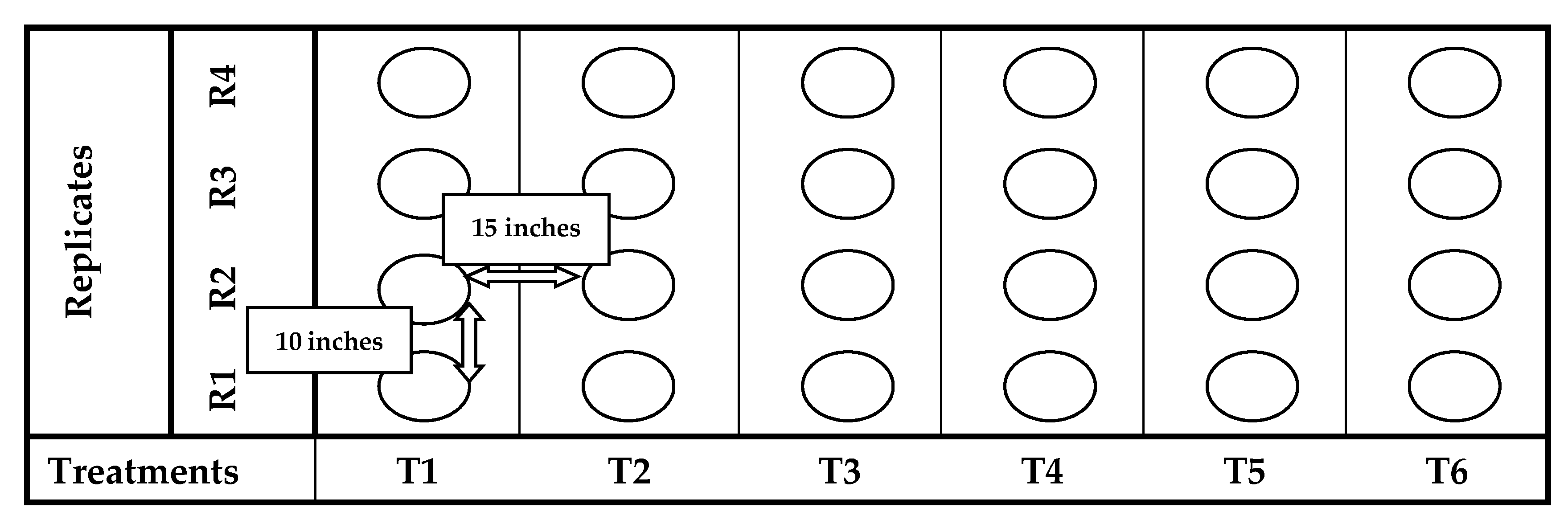 Agronomy 11 02004 g001