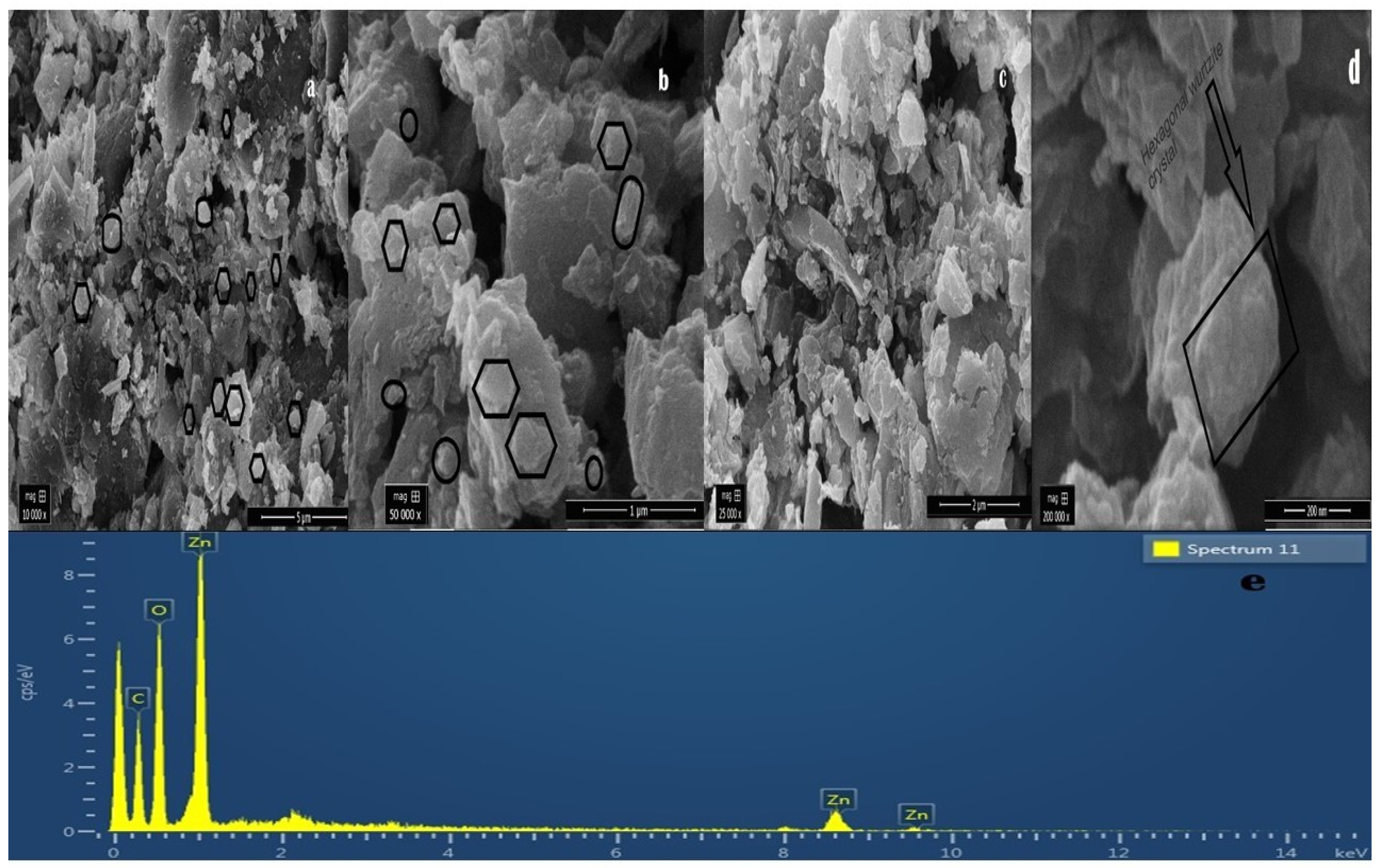 Agronomy 11 02004 g004