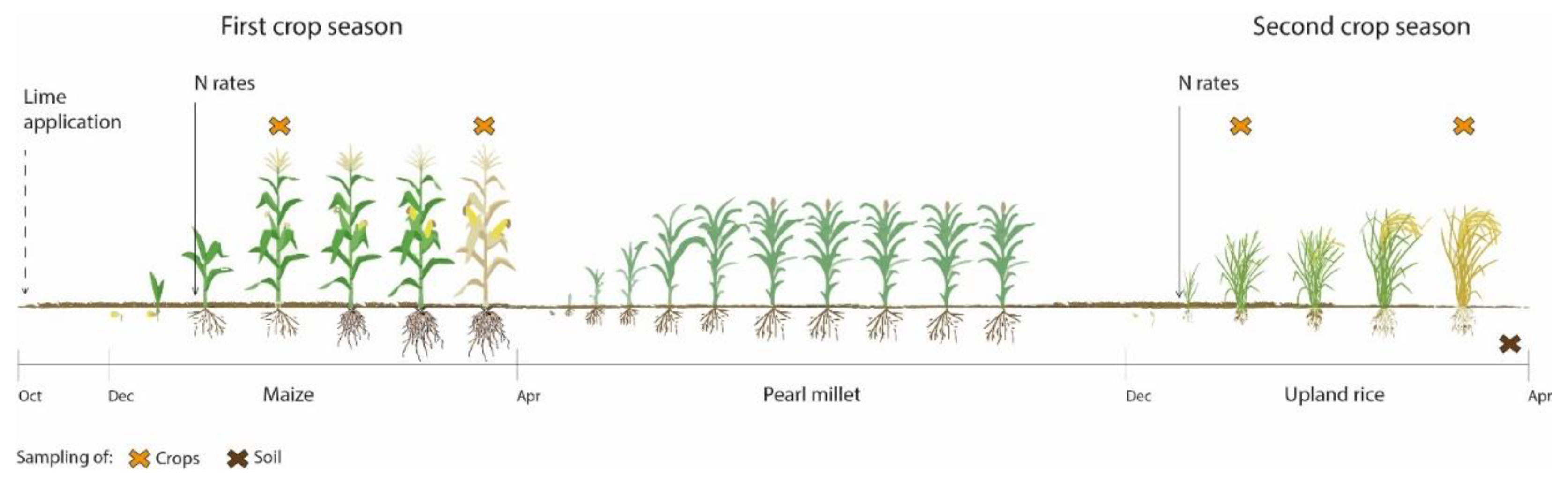 Agronomy 11 02005 g001