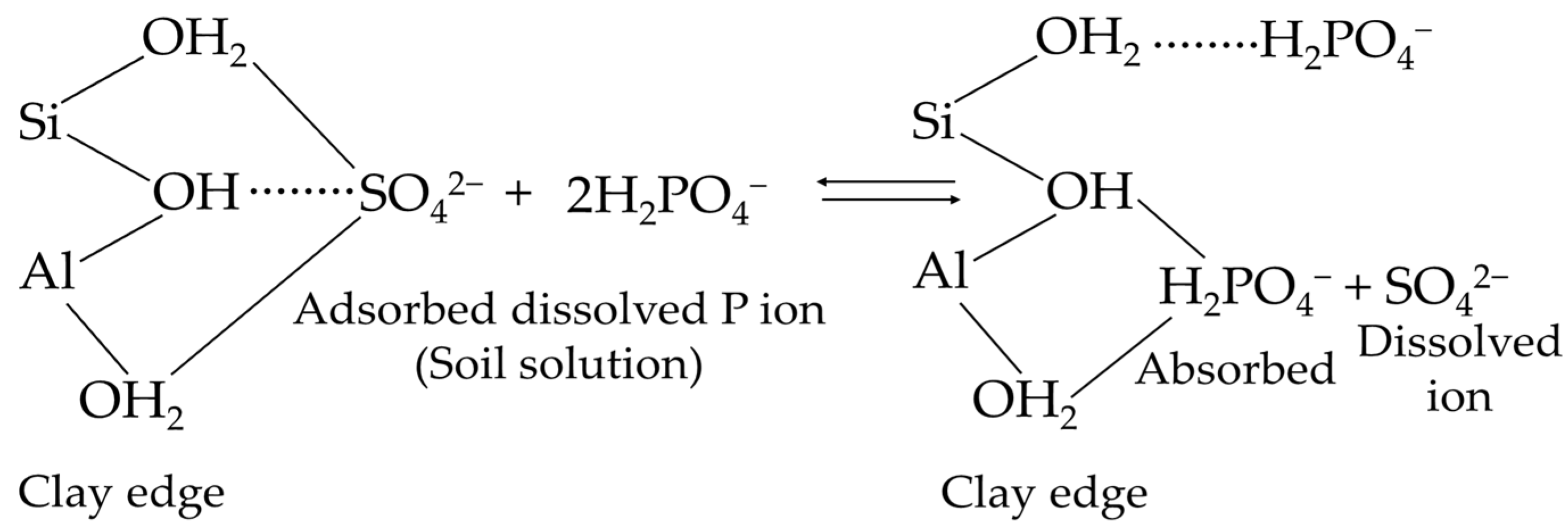 Agronomy 11 02010 g003