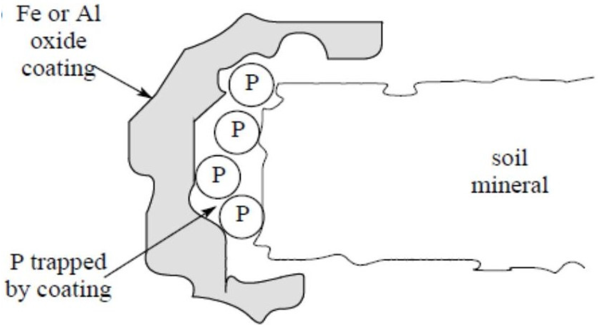 Agronomy 11 02010 g005