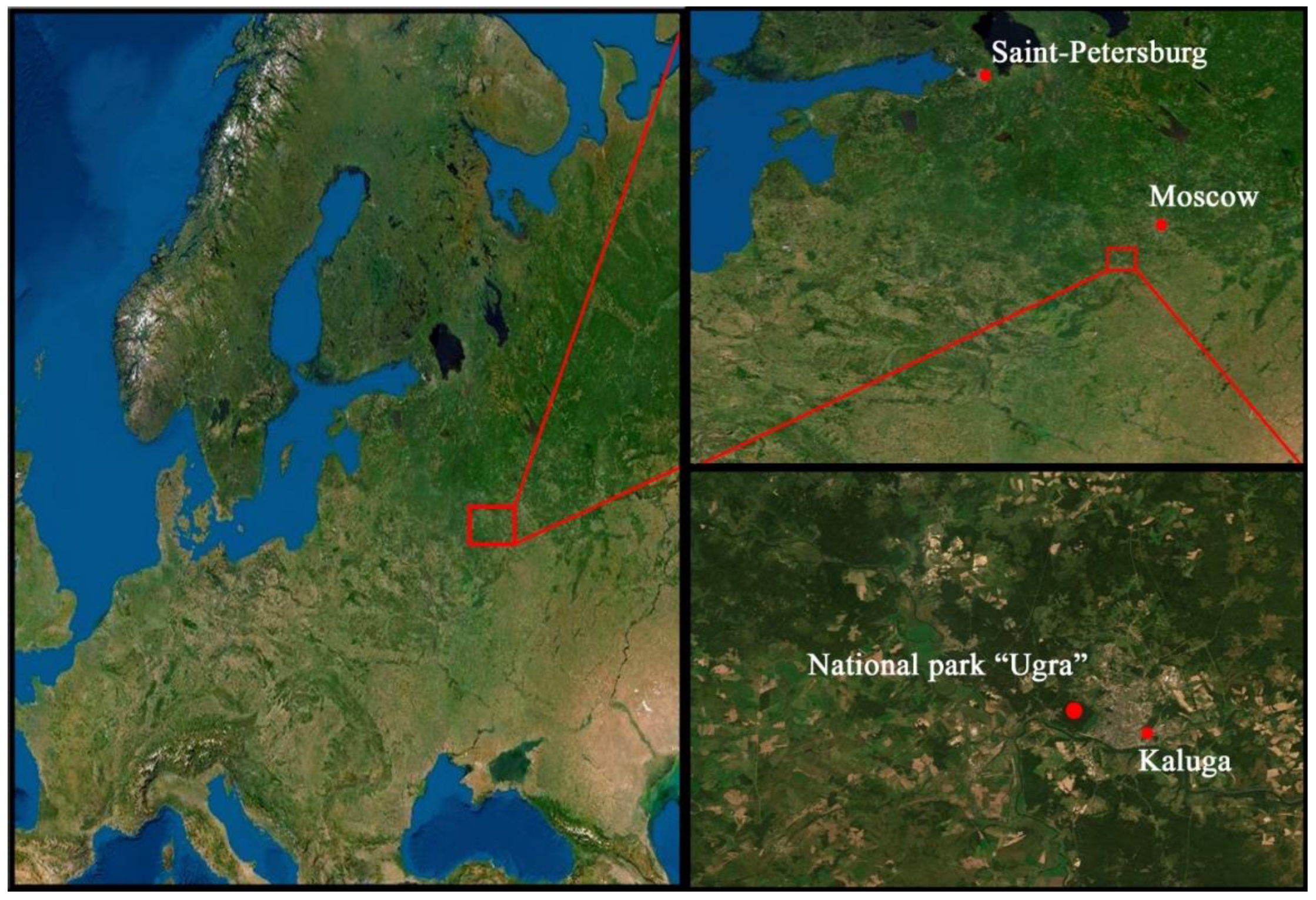 Agronomy 11 02013 g002