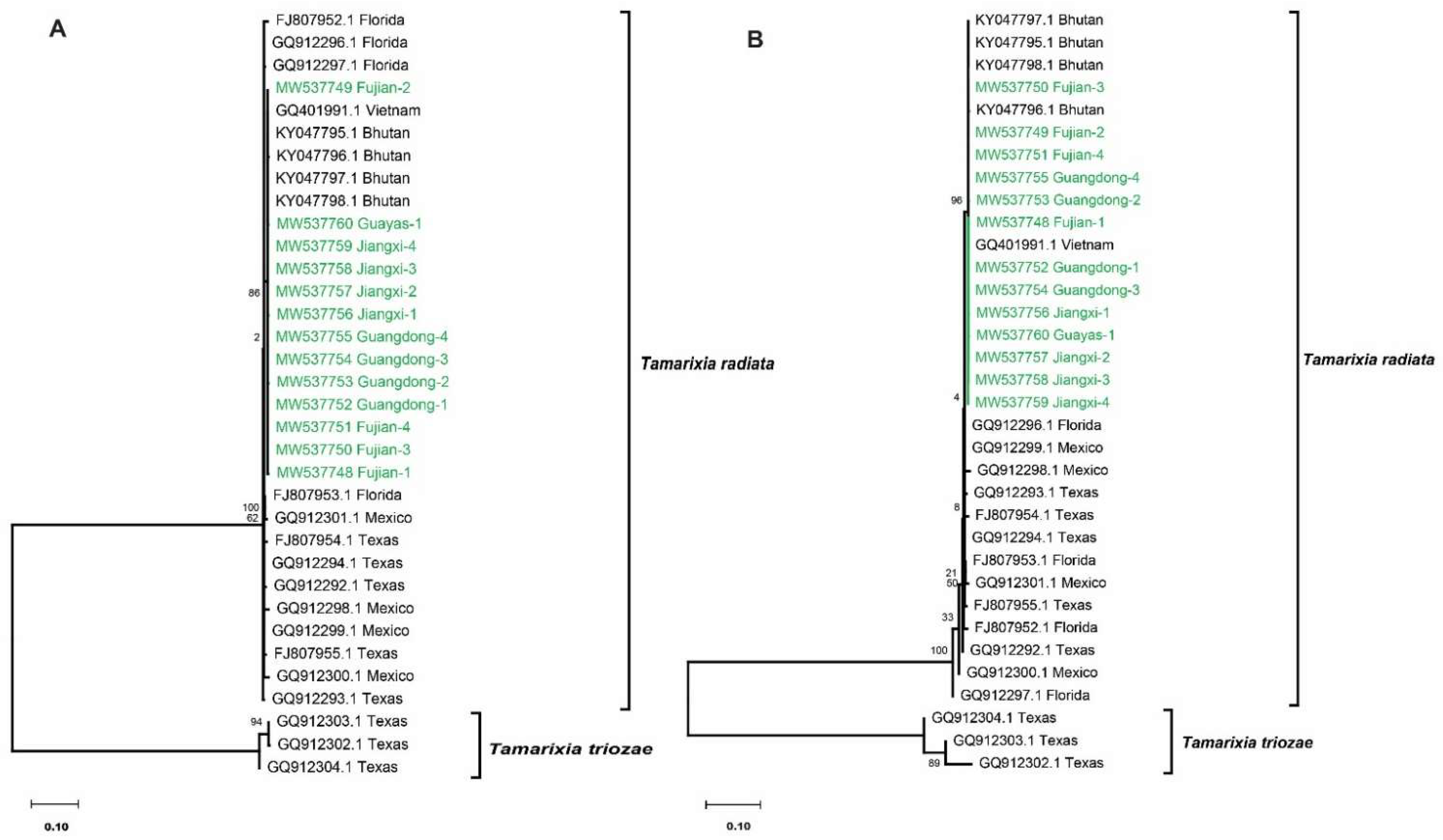 Agronomy 11 02018 g001