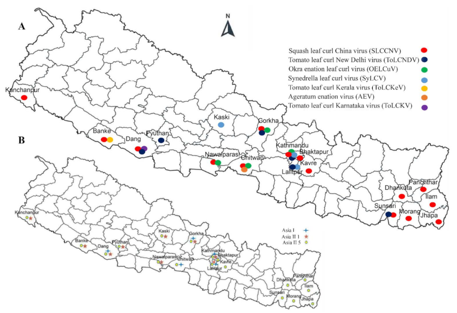 Agronomy 11 02032 g001