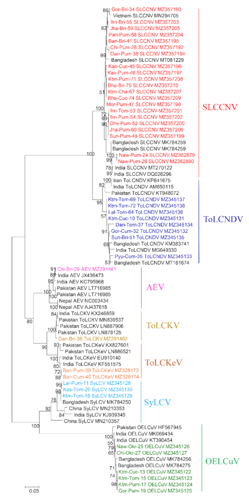 Agronomy 11 02032 g002
