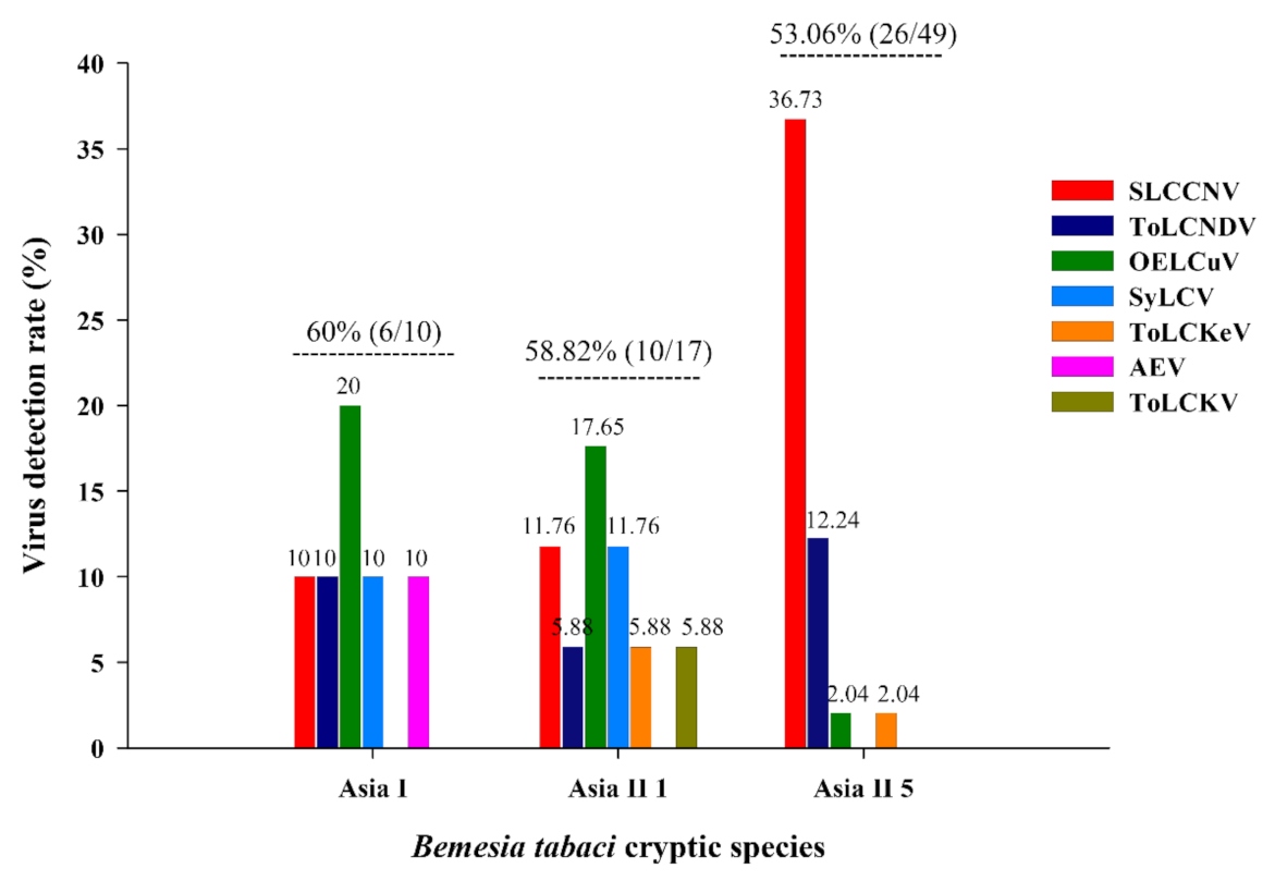 Agronomy 11 02032 g004