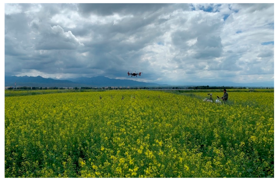 Agronomy 11 02035 g001