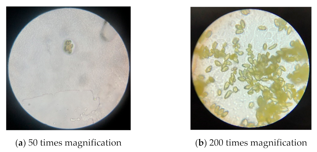 Agronomy 11 02035 g008