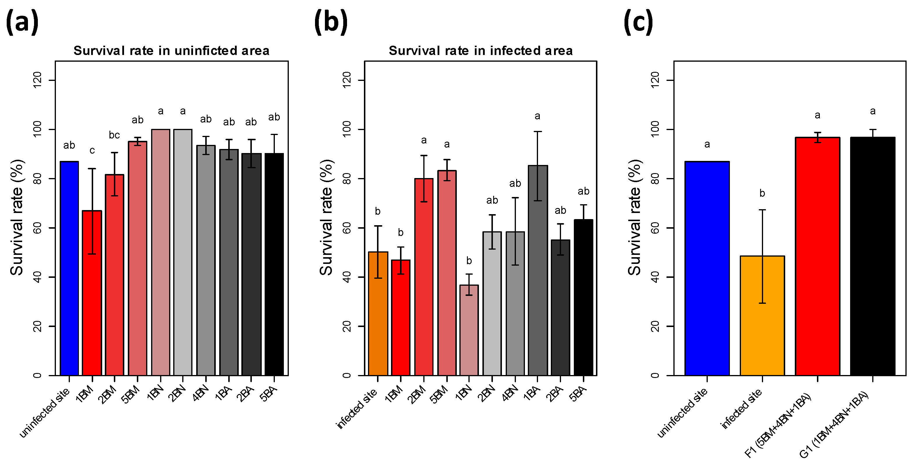 Agronomy 11 02043 g002