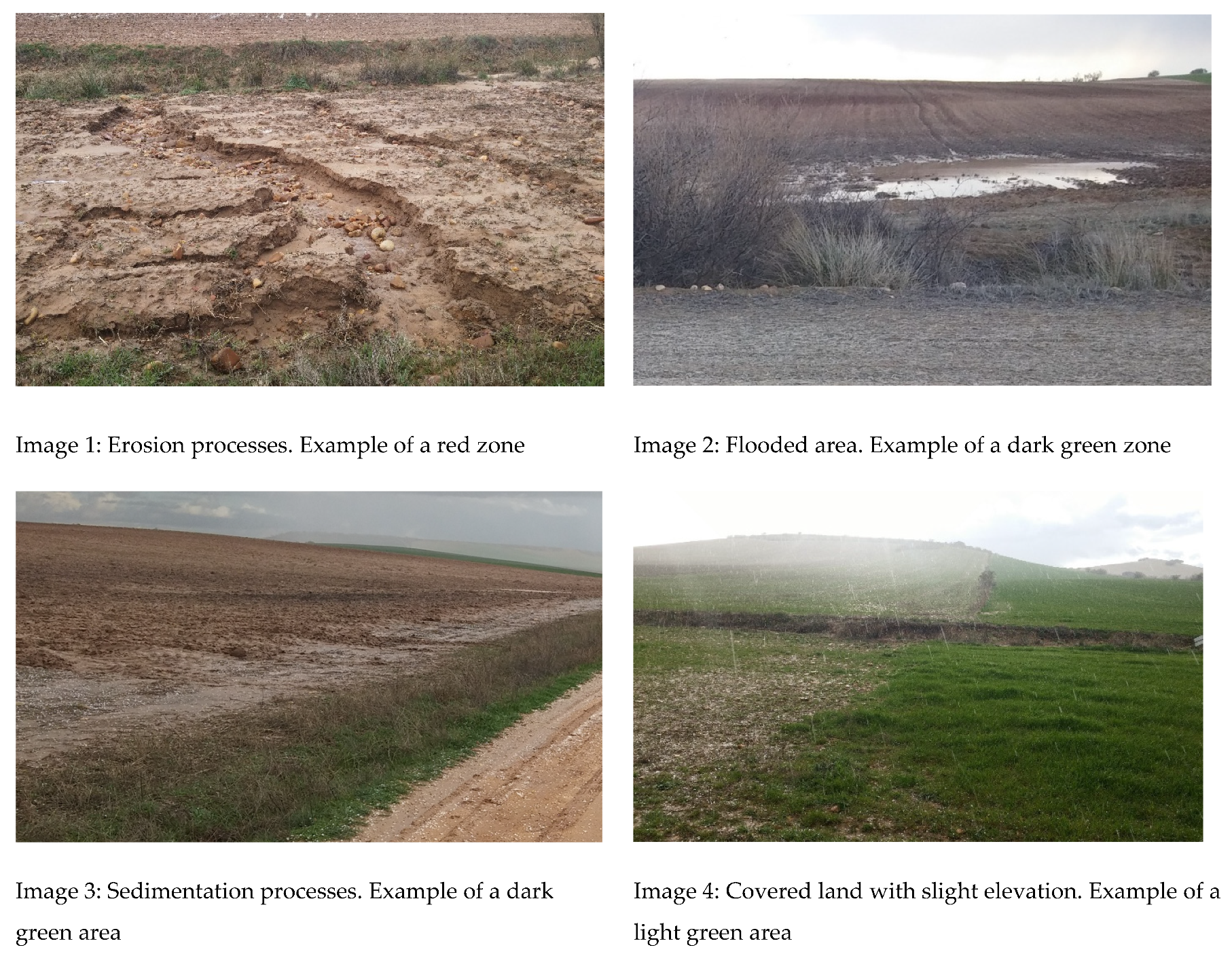 Agronomy 11 02075 g013