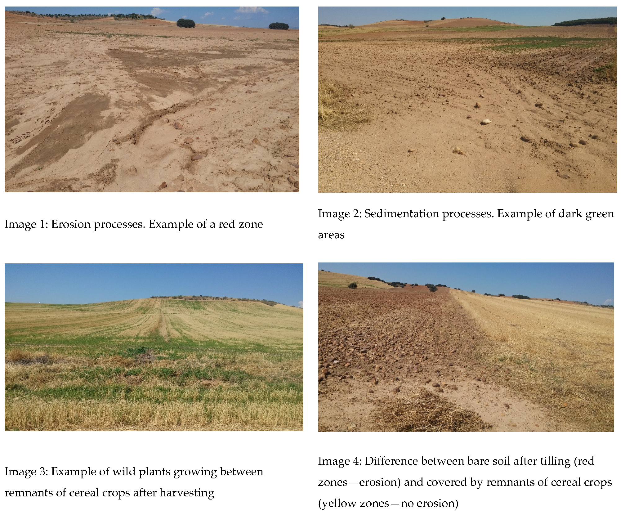 Agronomy 11 02075 g014