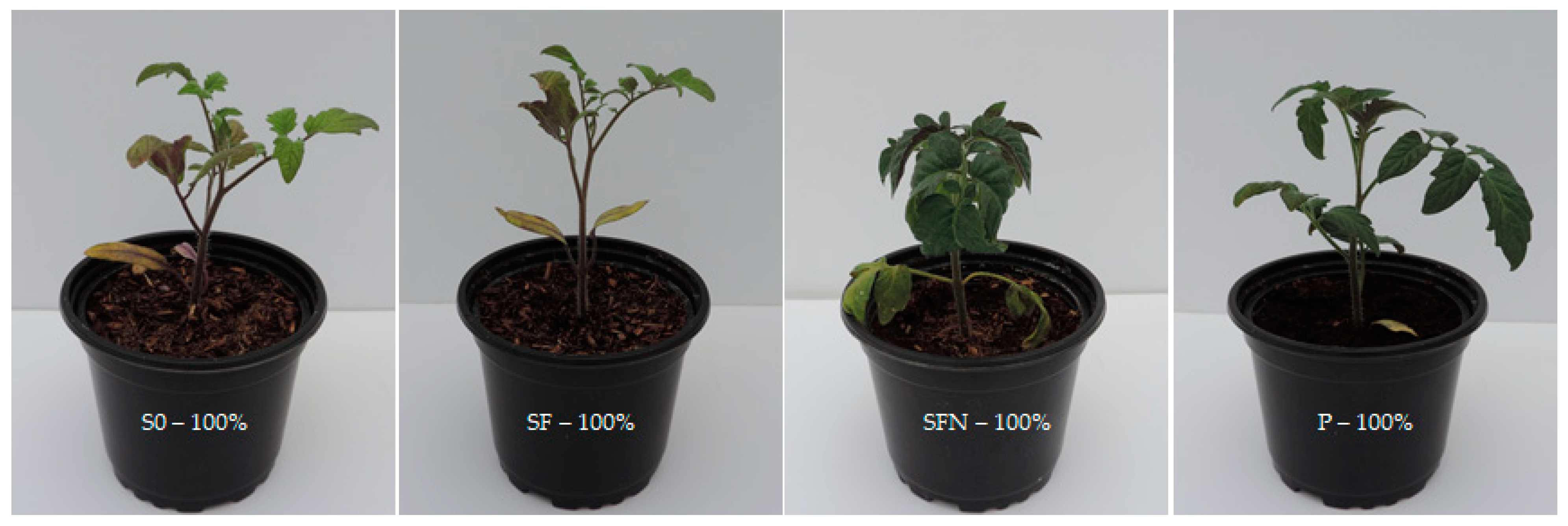 Agronomy 11 02089 g002