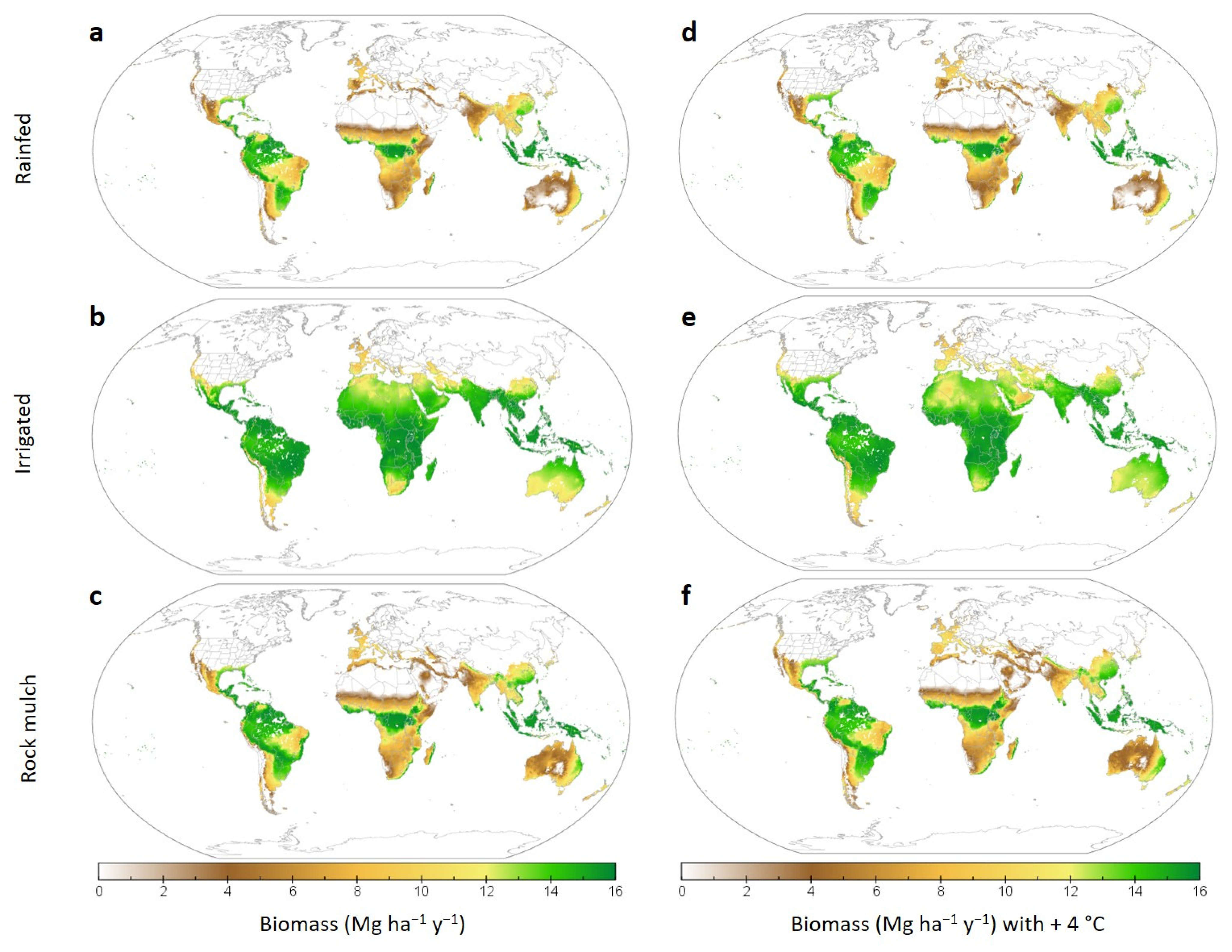 Agronomy 11 02109 g001