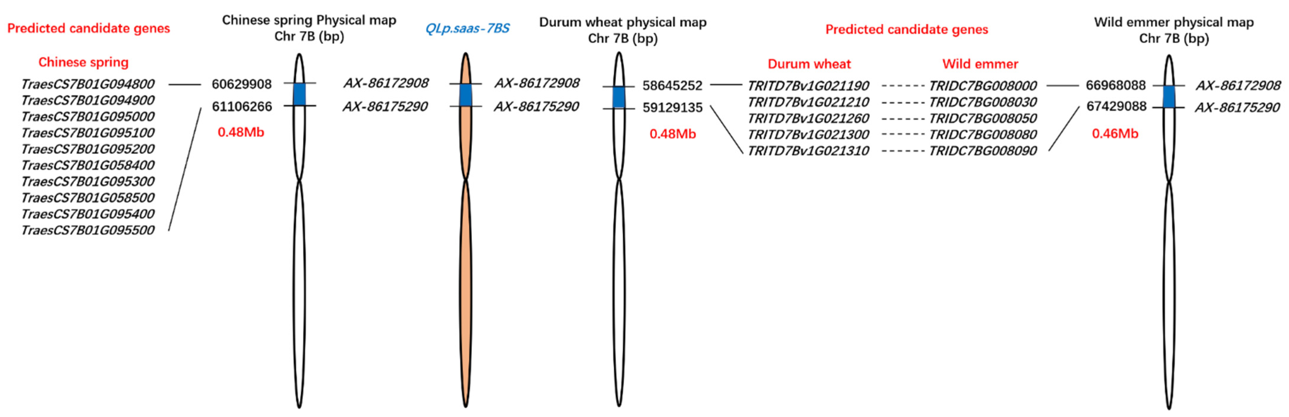 Agronomy 11 02237 g003