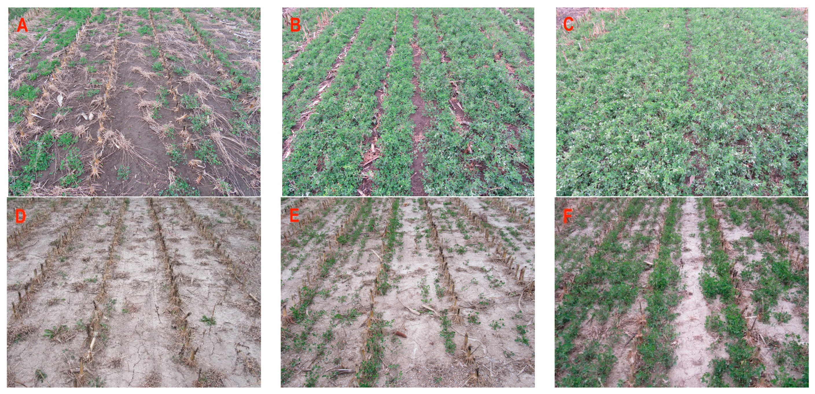 Agronomy 11 02343 g007