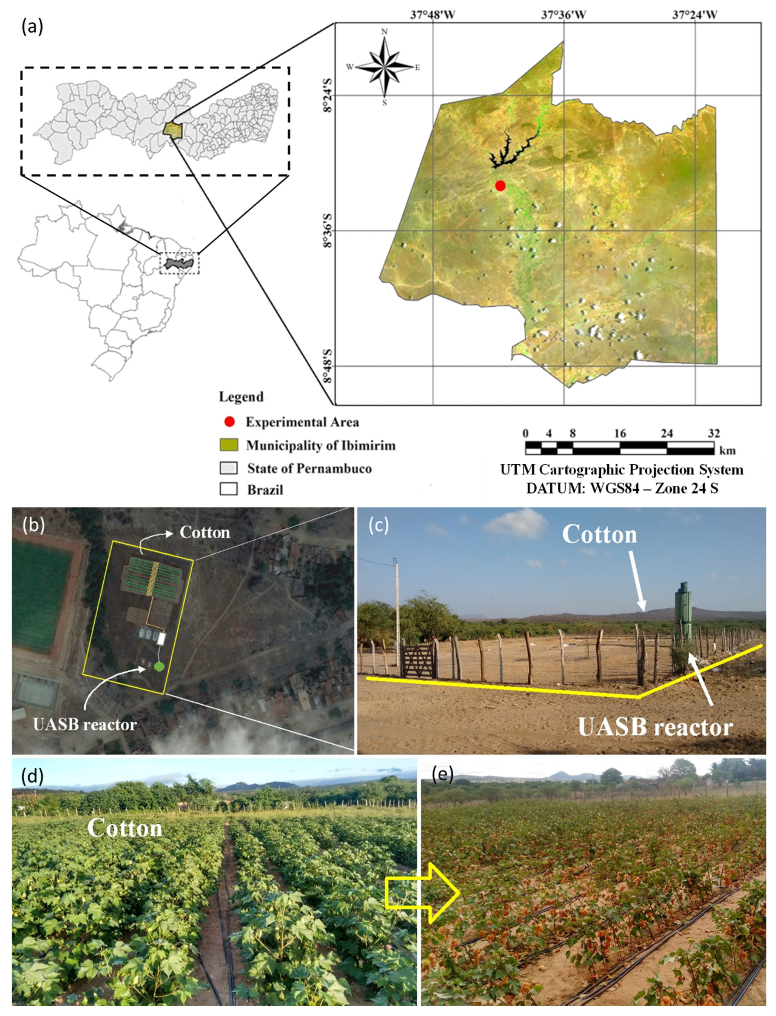 Agronomy 11 02370 g001