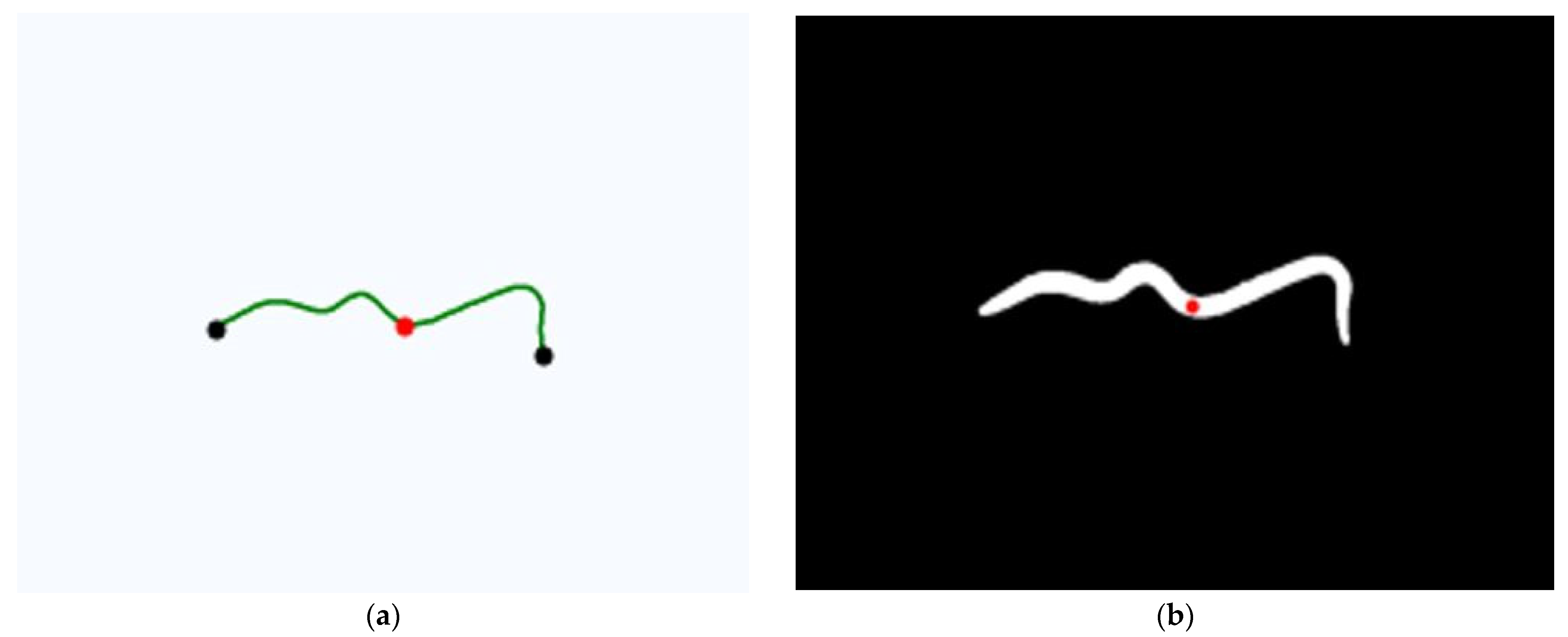 Agronomy 11 02372 g004