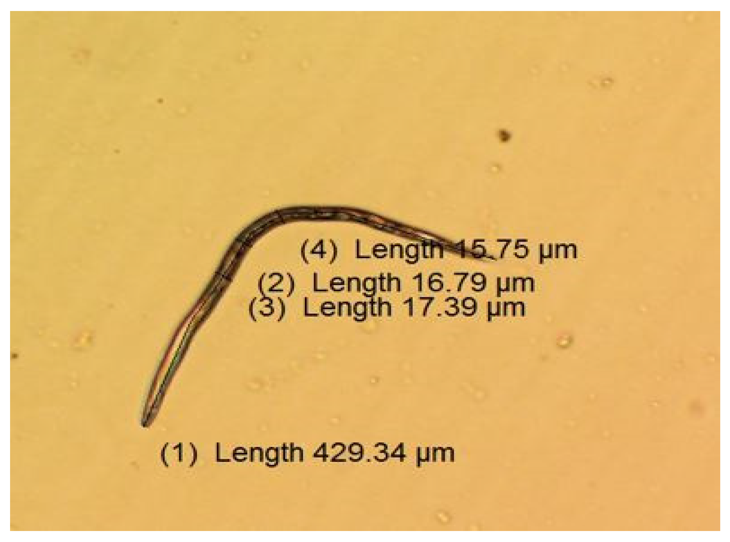 Agronomy 11 02372 g005