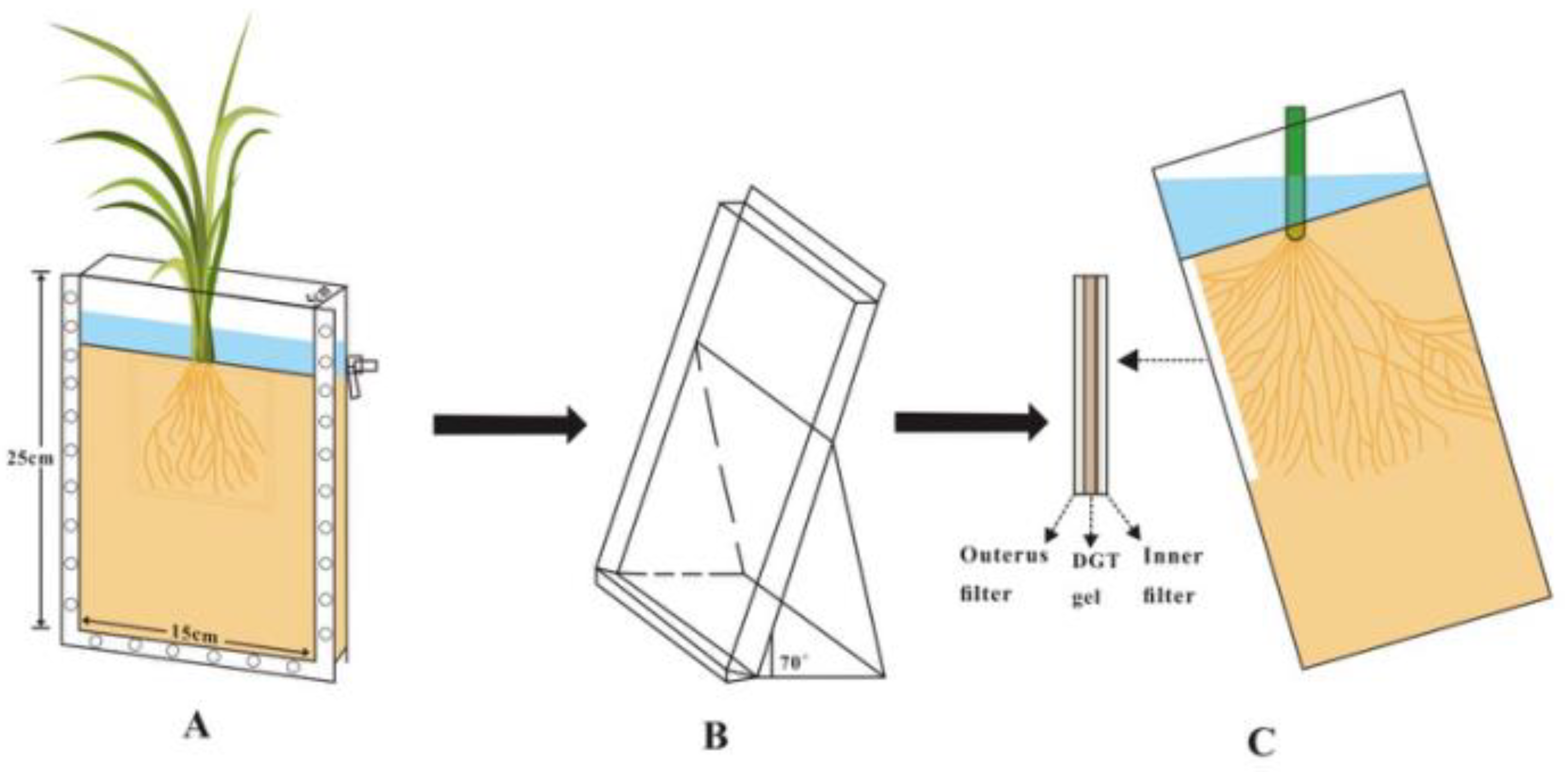 Agronomy 11 02383 g001